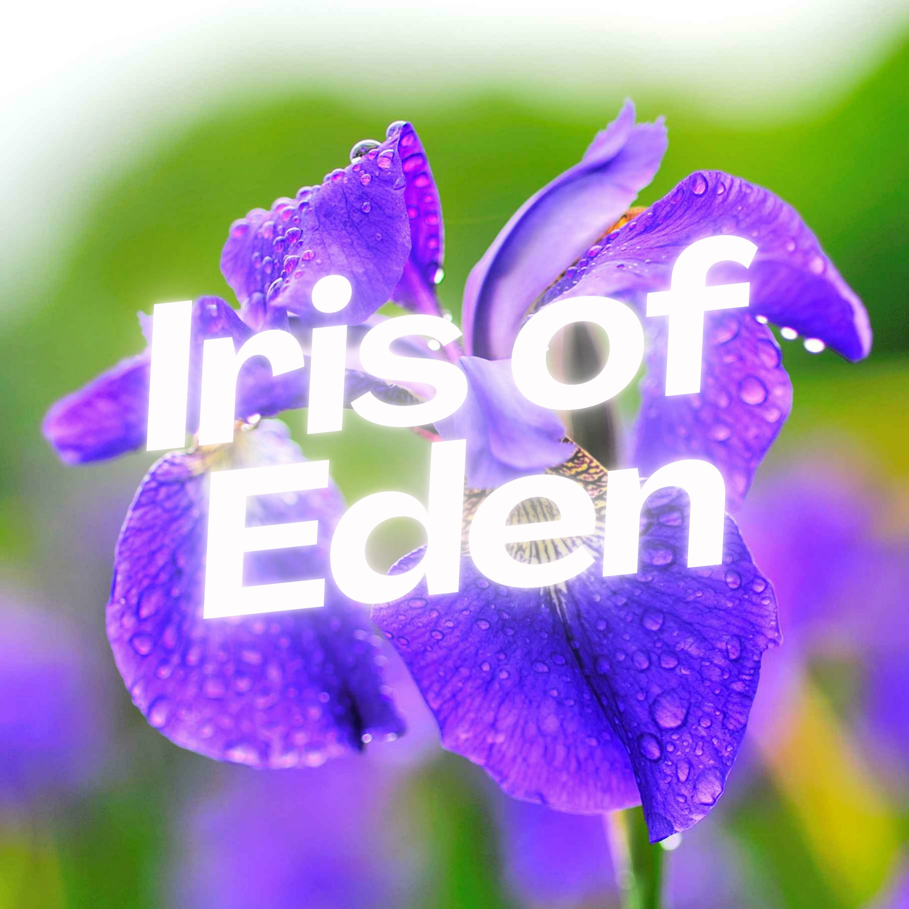 Iris Of Eden podcast artwork
