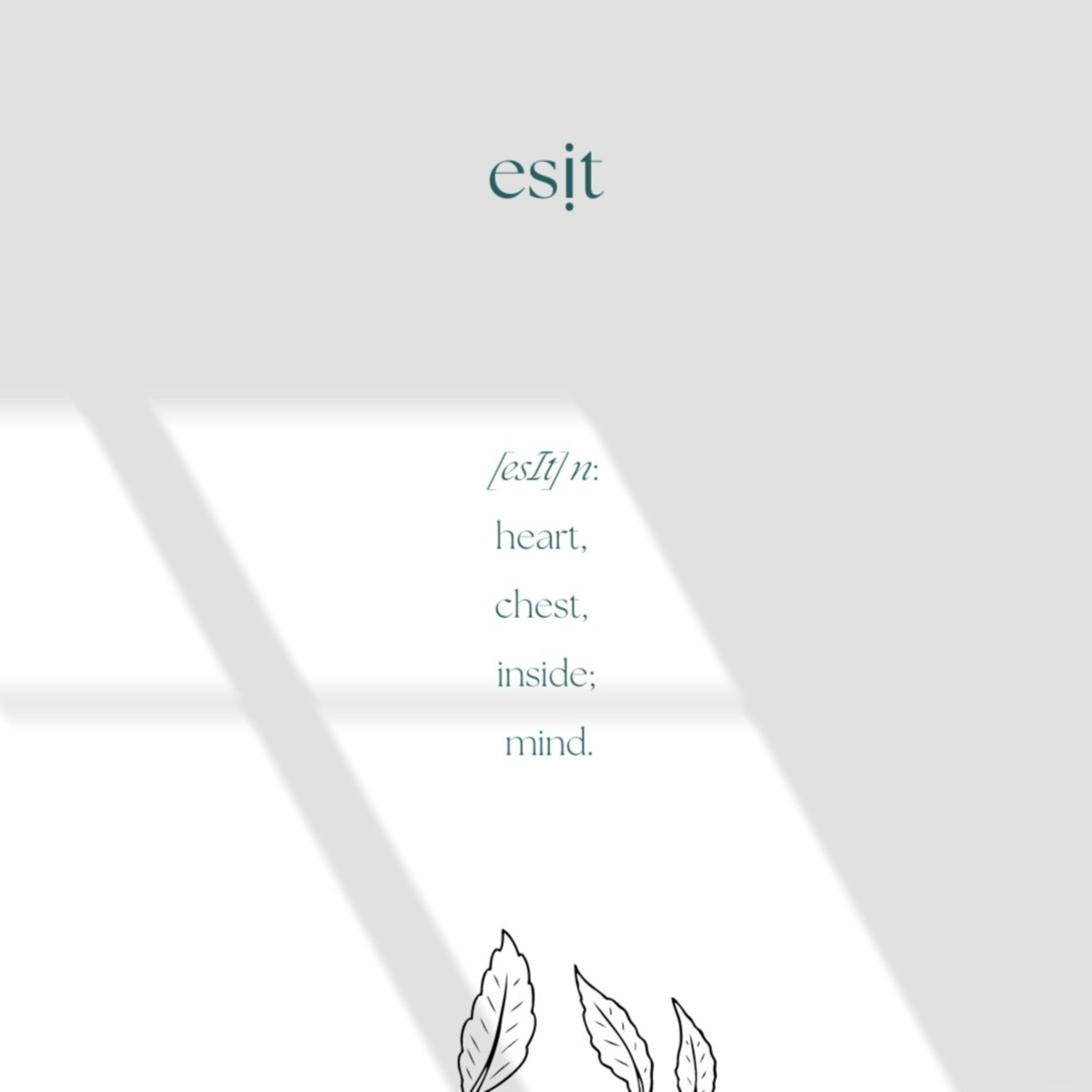 finding gratitude for the simple things meditation