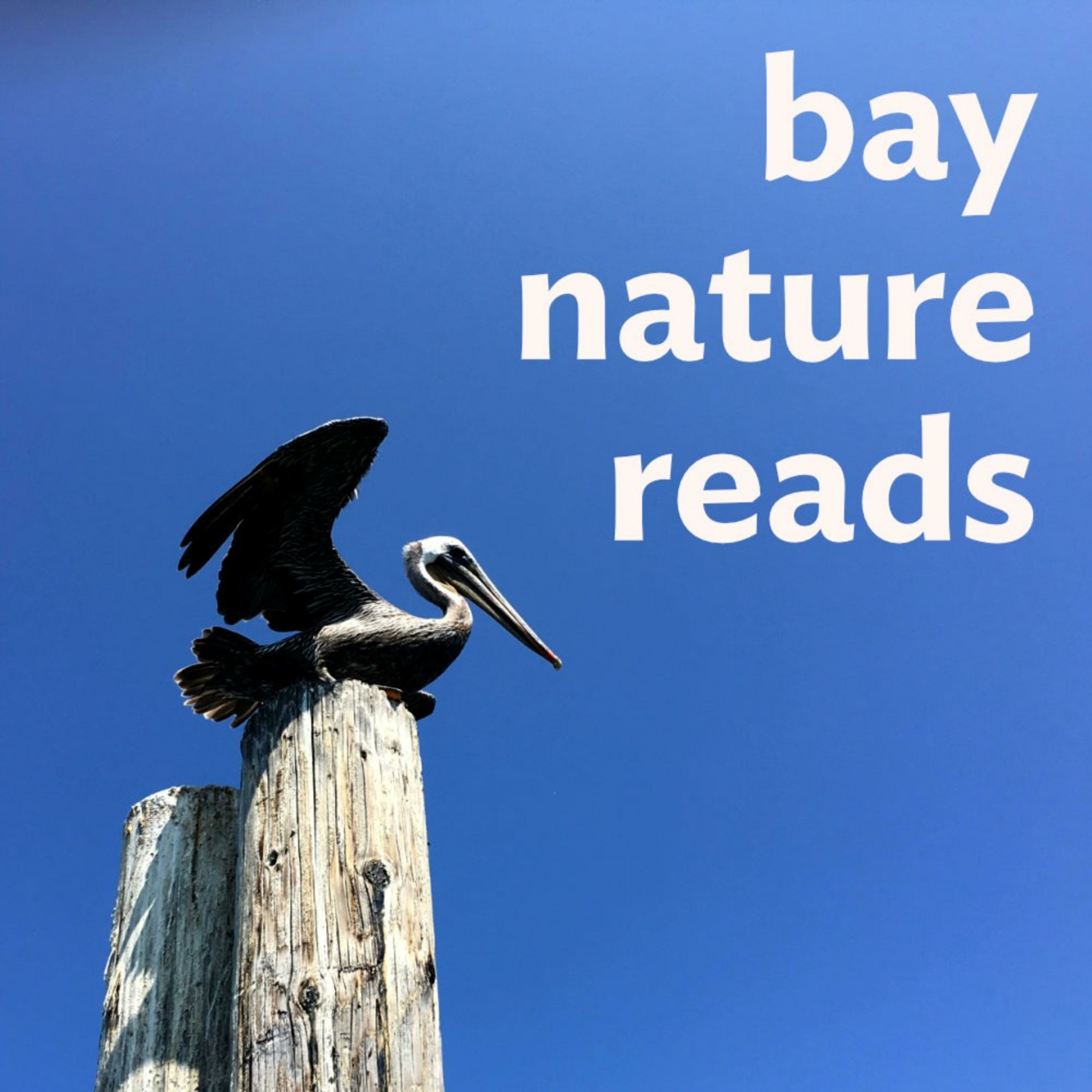 Bay Nature Reads