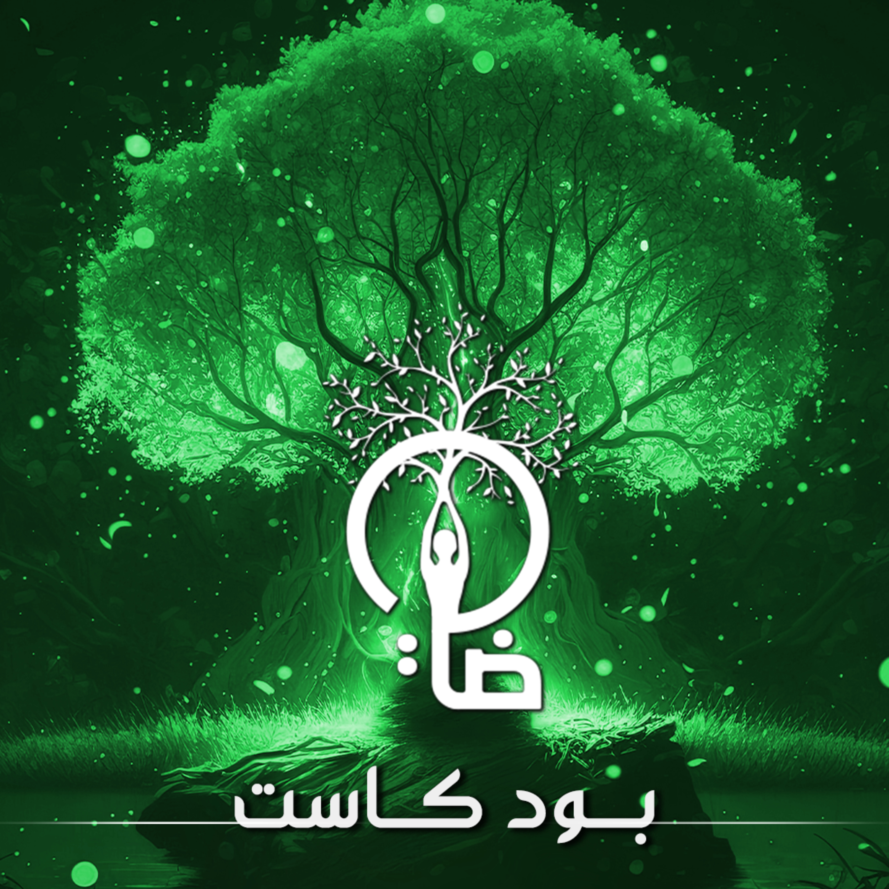 ضى 