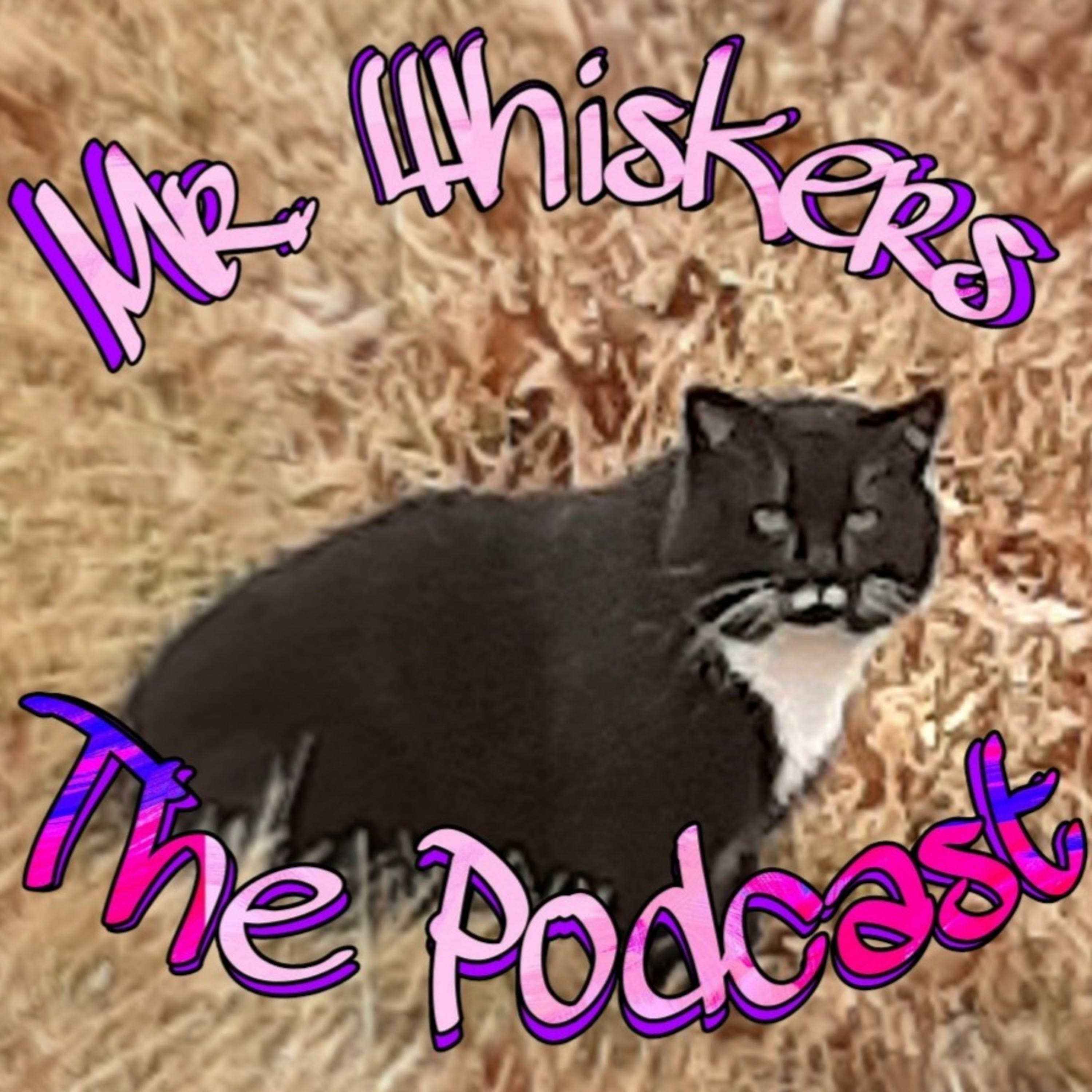 Stupid Stuff We Did As Kids episode artwork