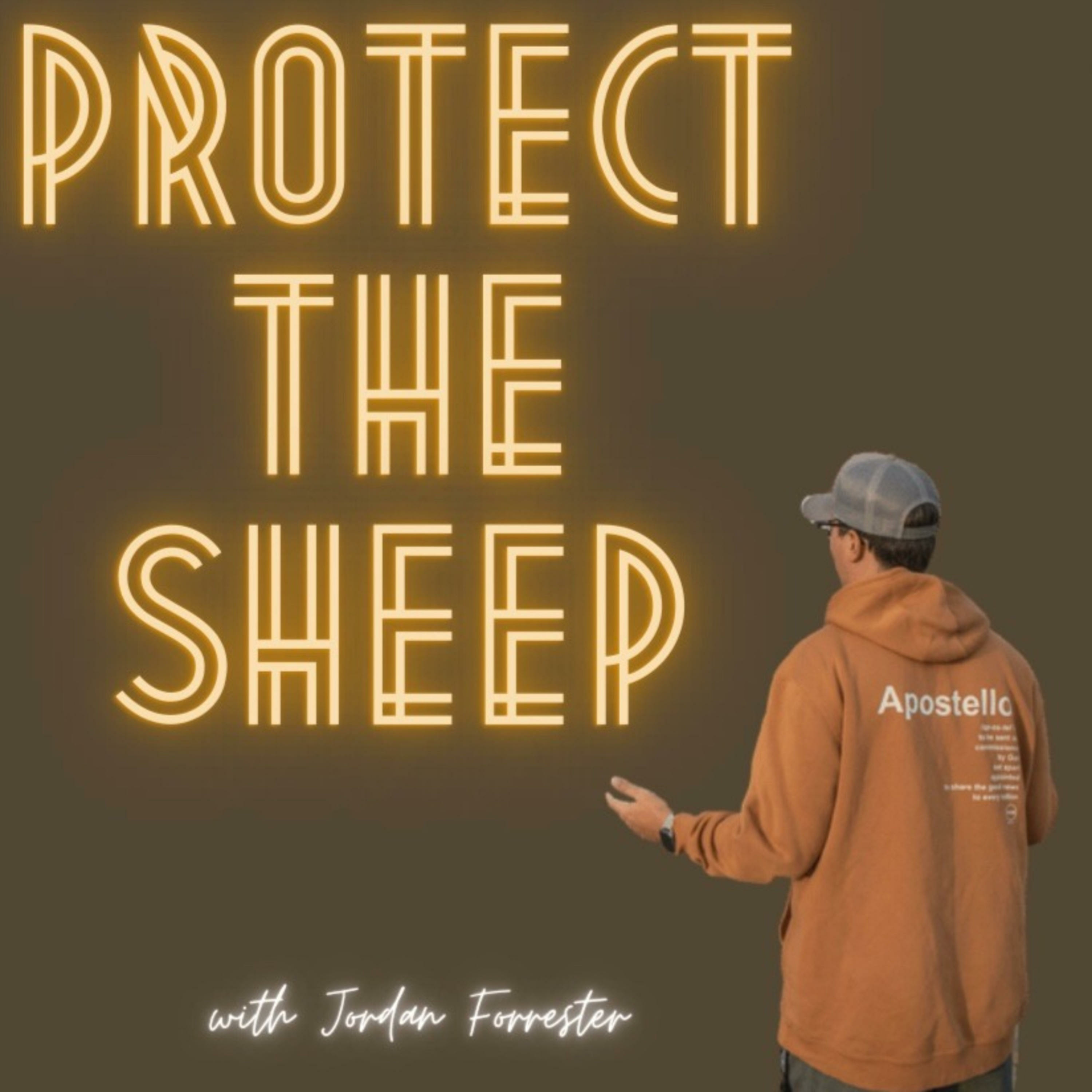 Protect the Sheep podcast artwork