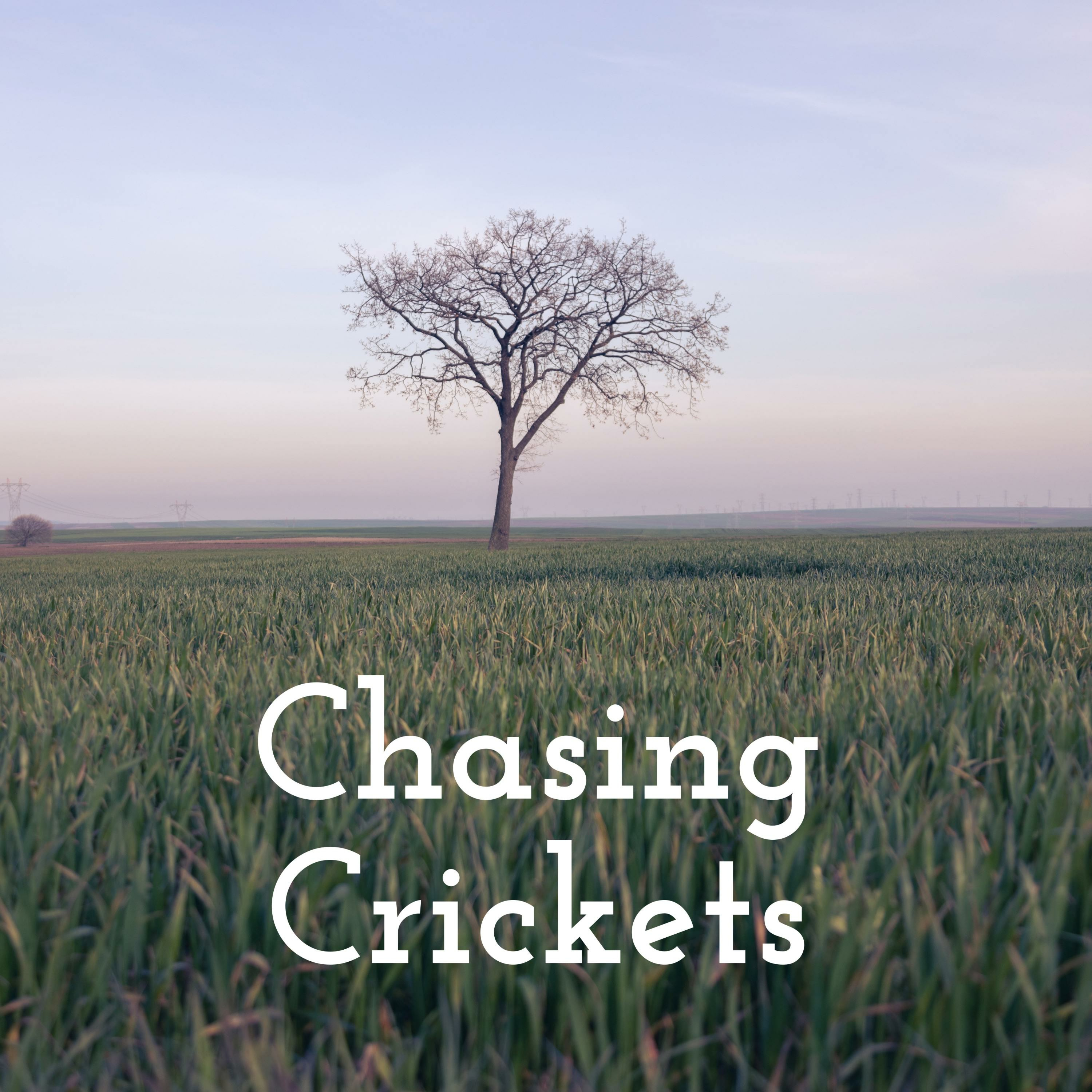 Chasing Crickets