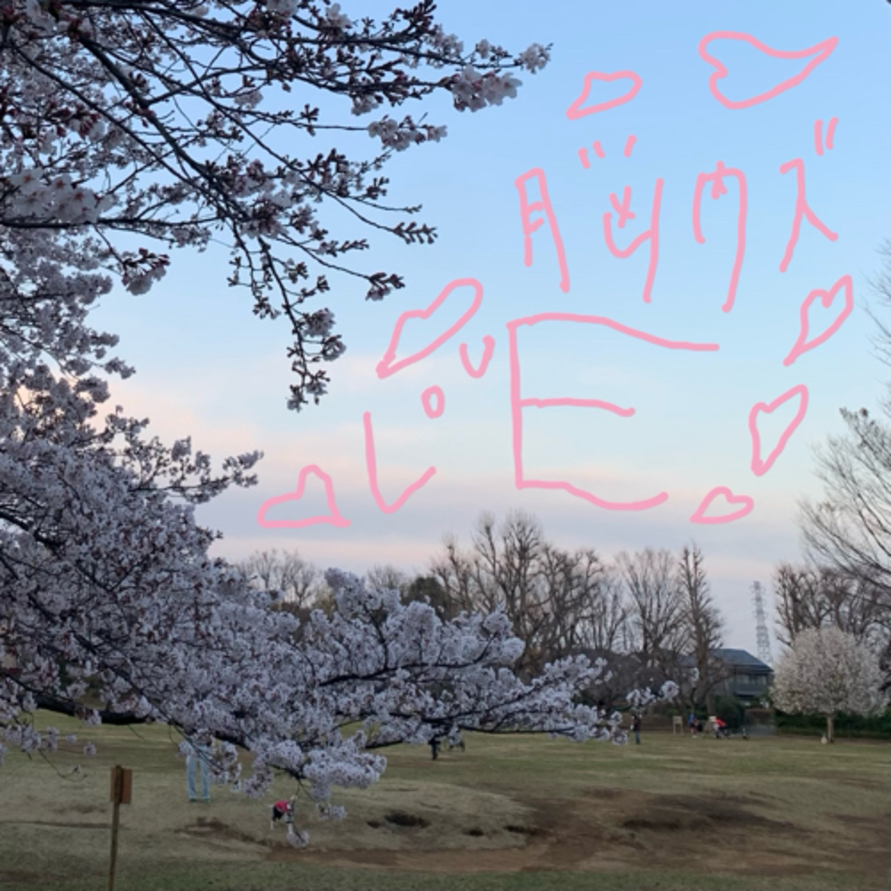 脳内ズLOVE
