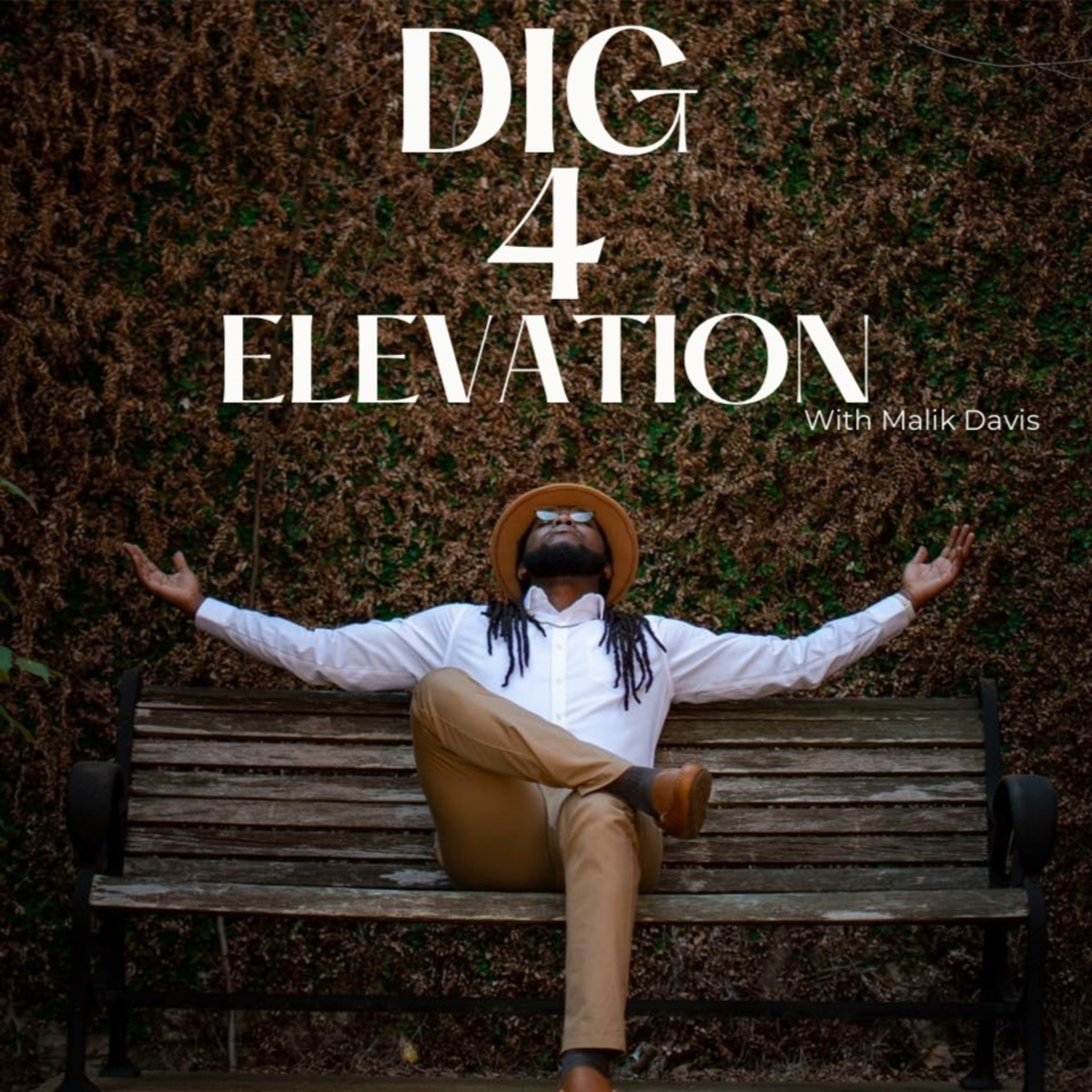 Dig 4Elevation