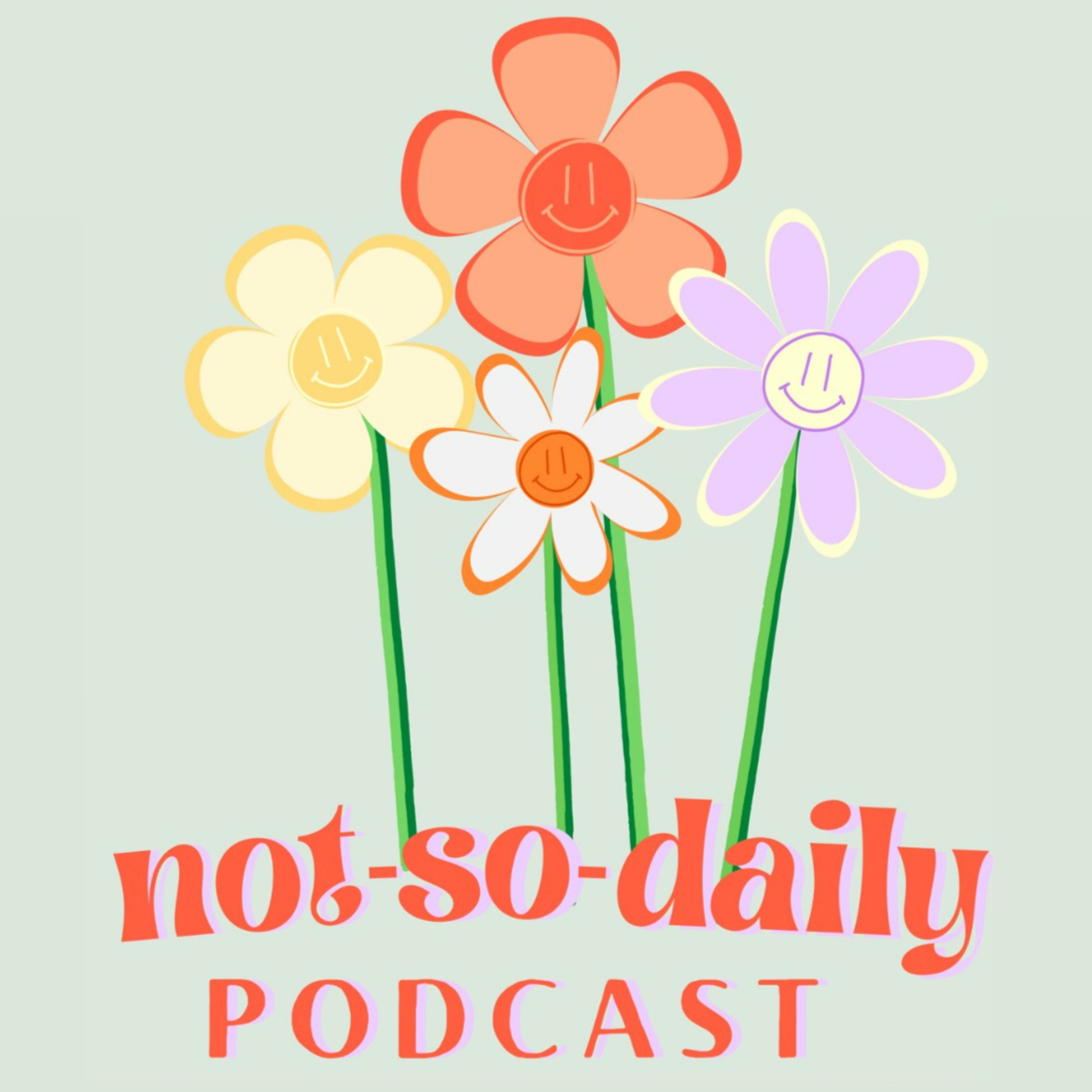 the not-so-daily podcast