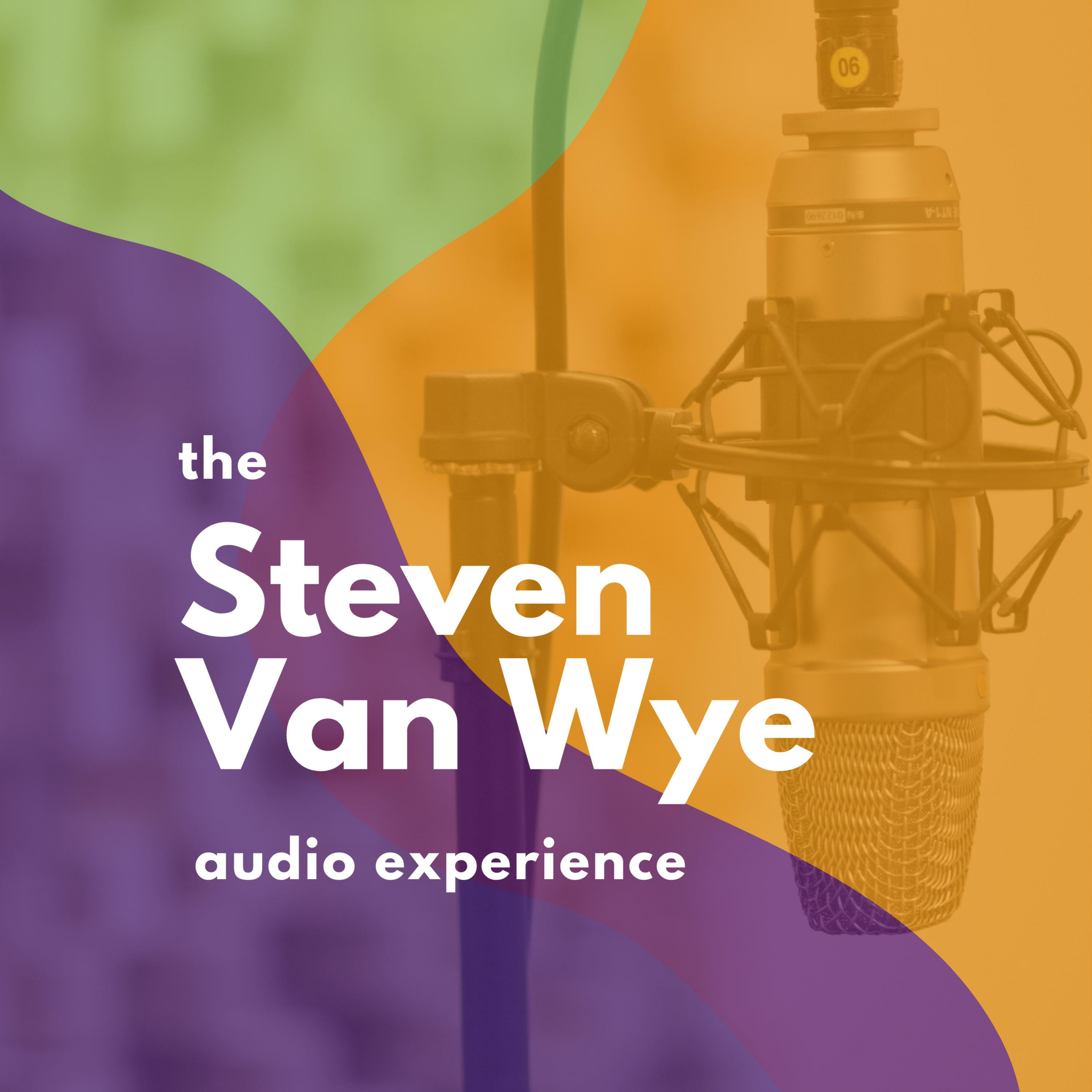 The Steven Van Wye Audio Experience