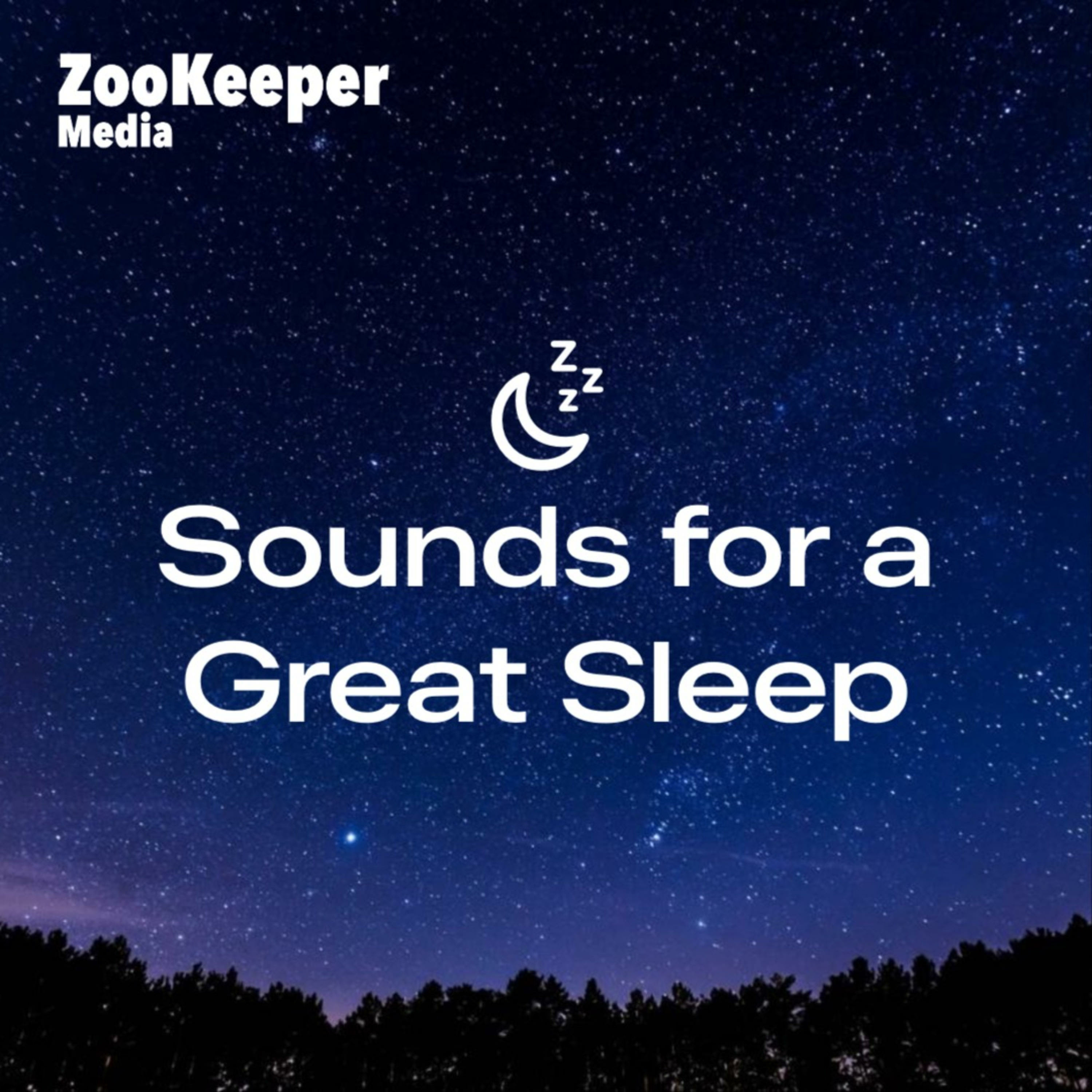 Sounds for a Great Sleep