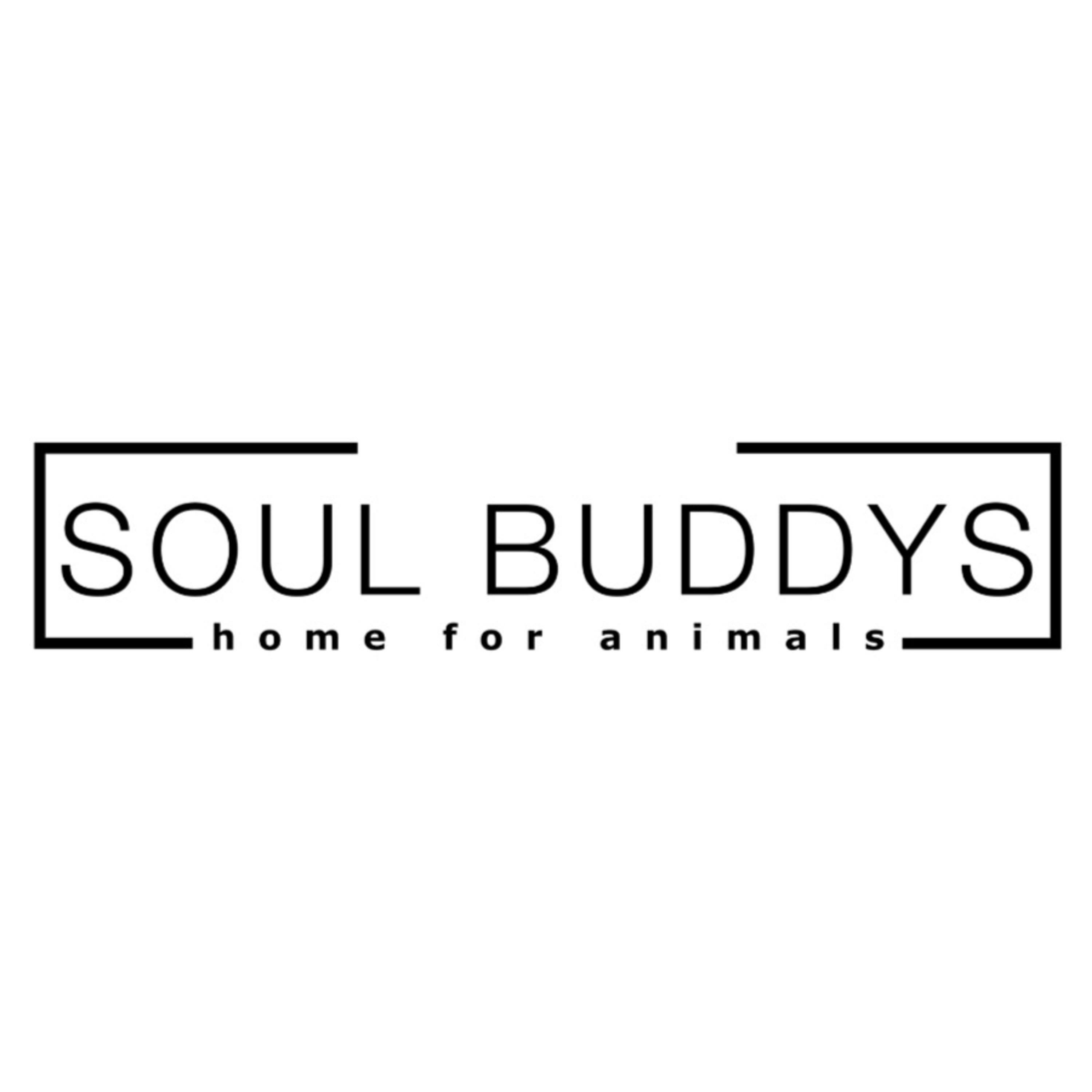 DIE SOUL BUDDYS