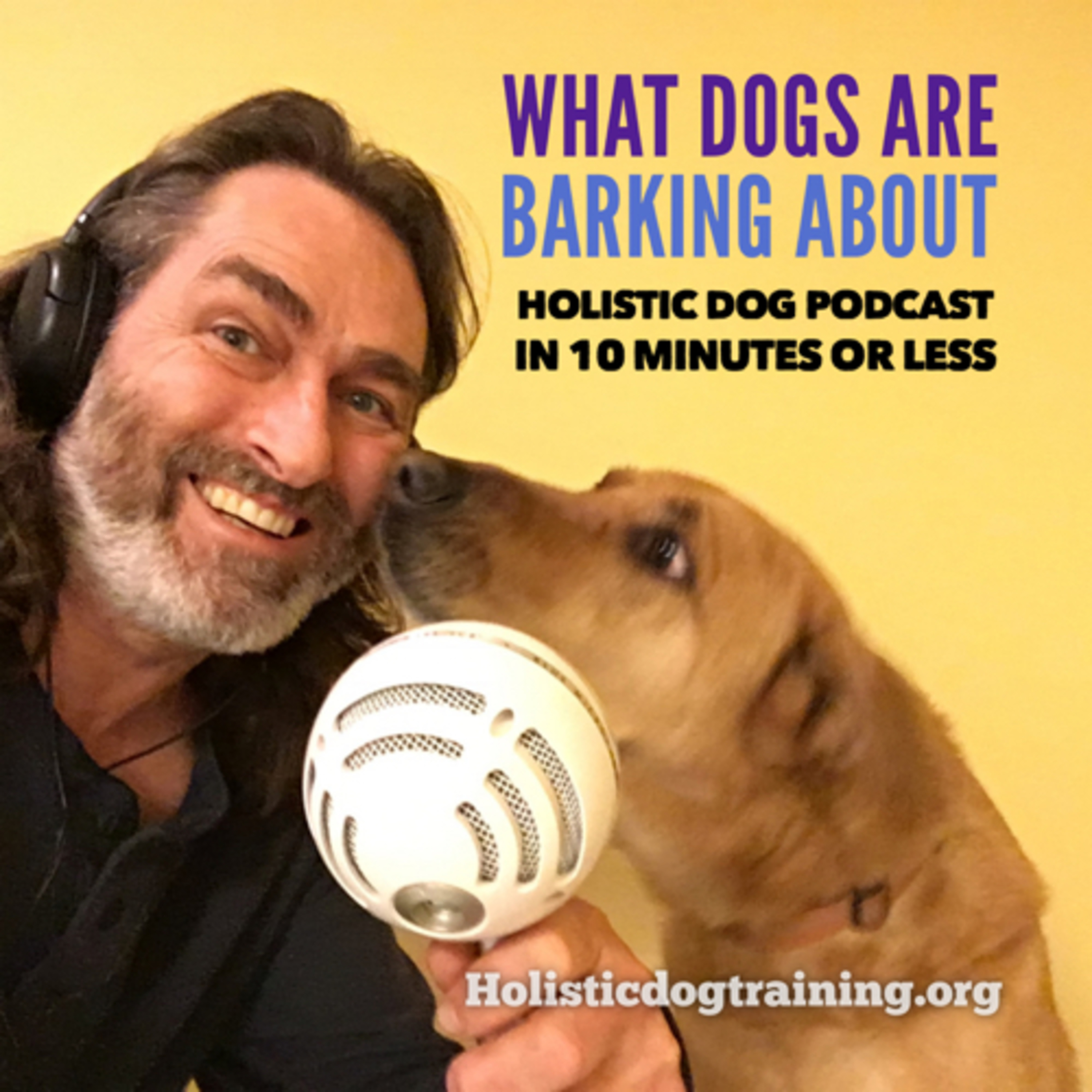 What Dogs Are Barking About podcast artwork