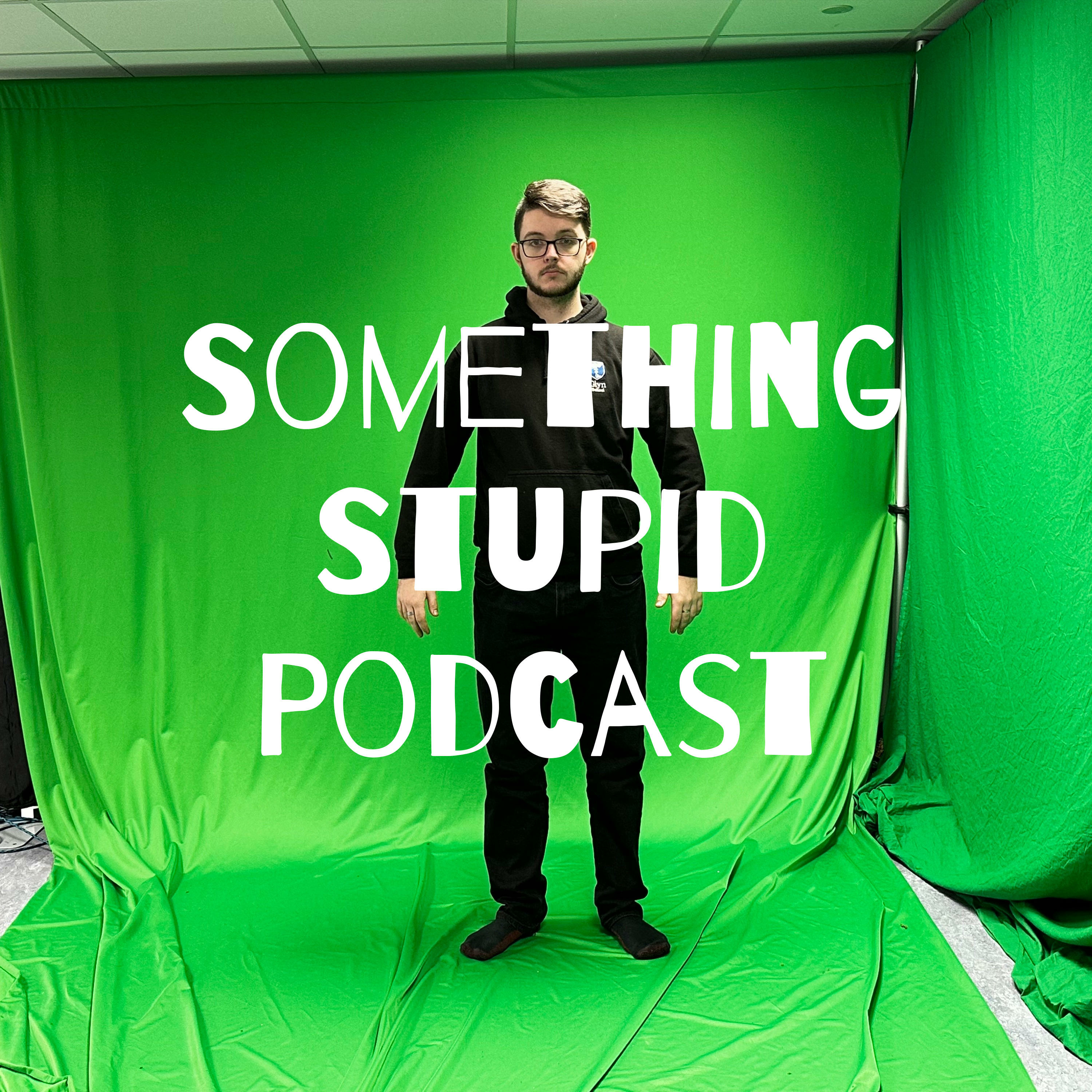 Something Stupid Podcast podcast artwork