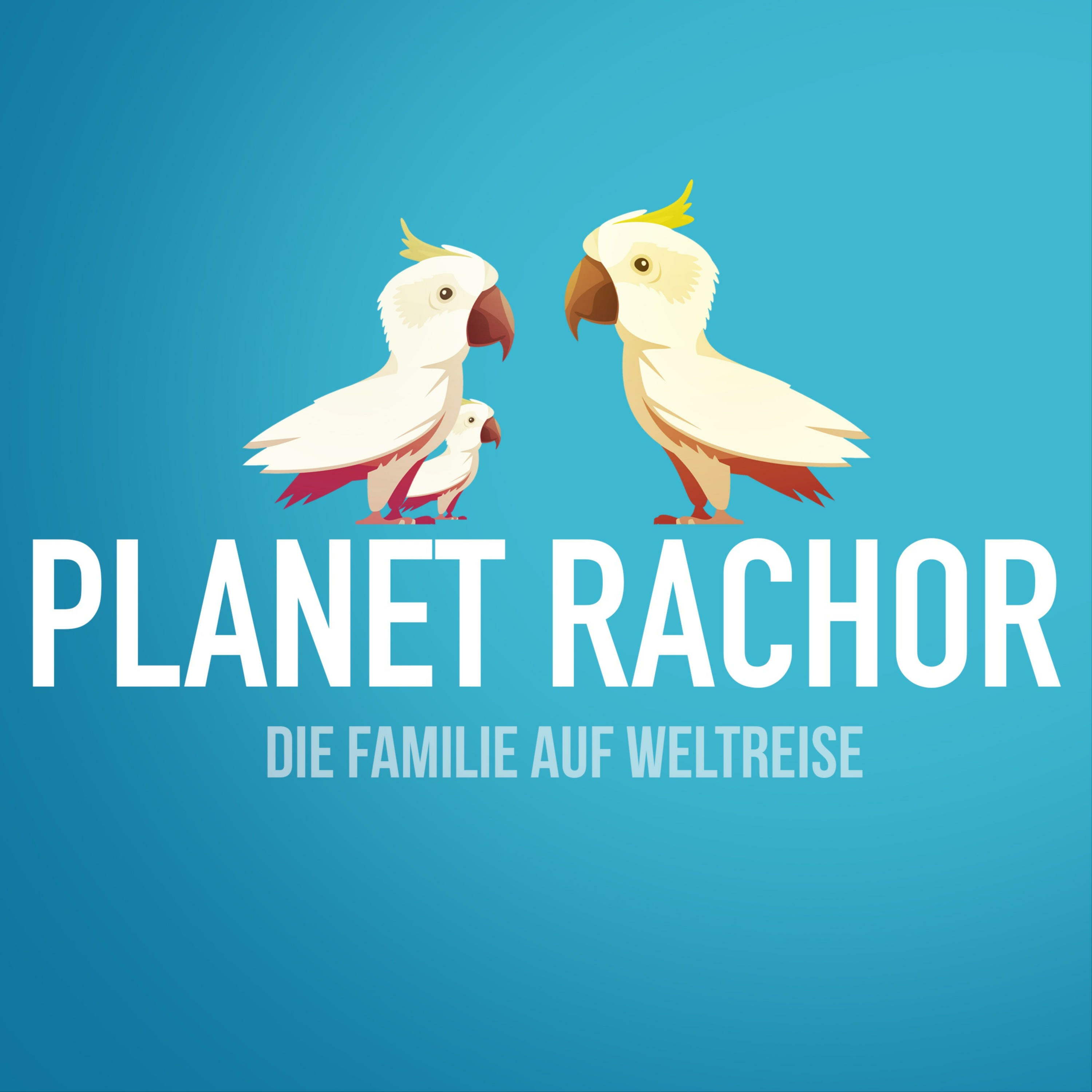 PLANET RACHOR