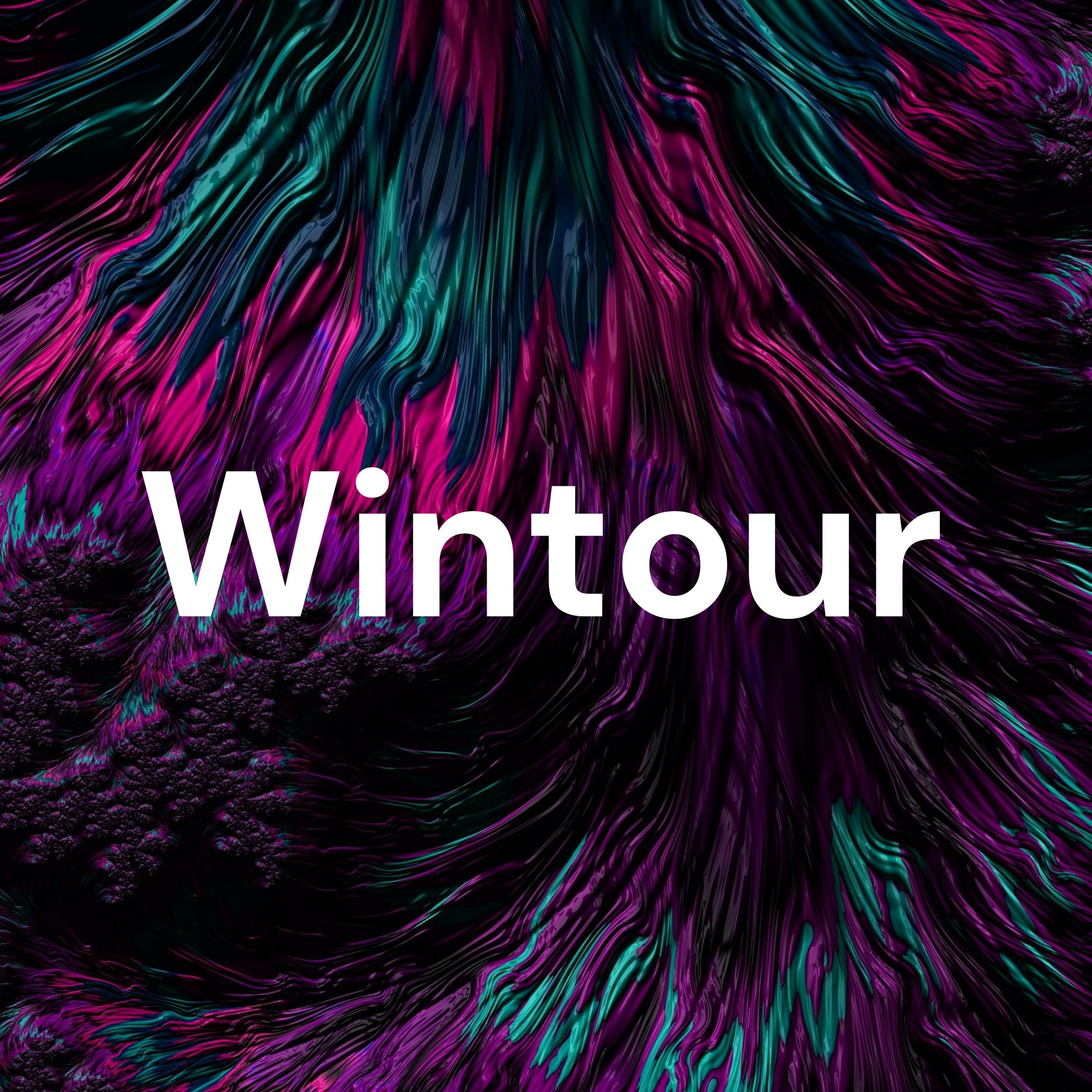 Wintour雲拓 cover art