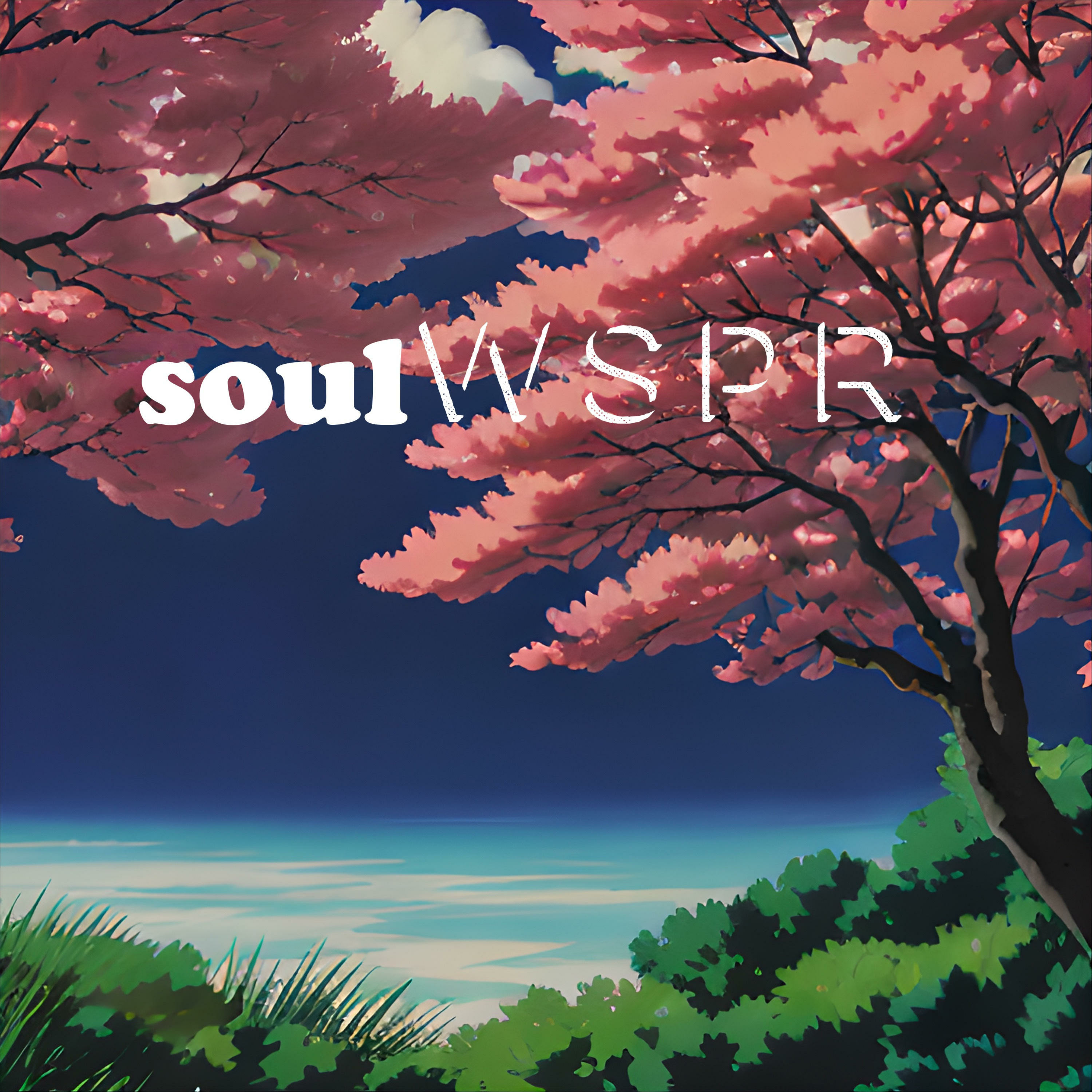 SoulWSPR
