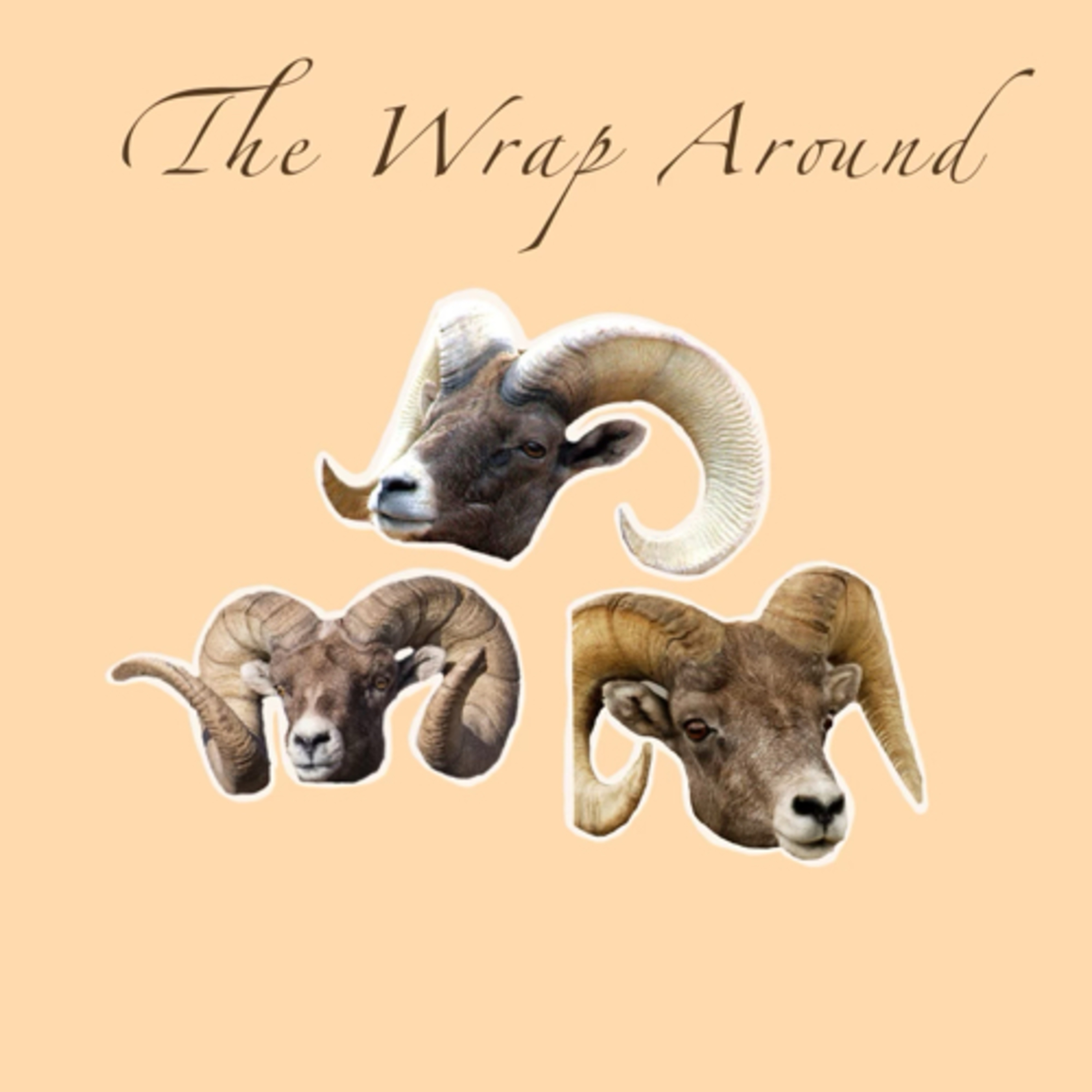 The Wrap Around
