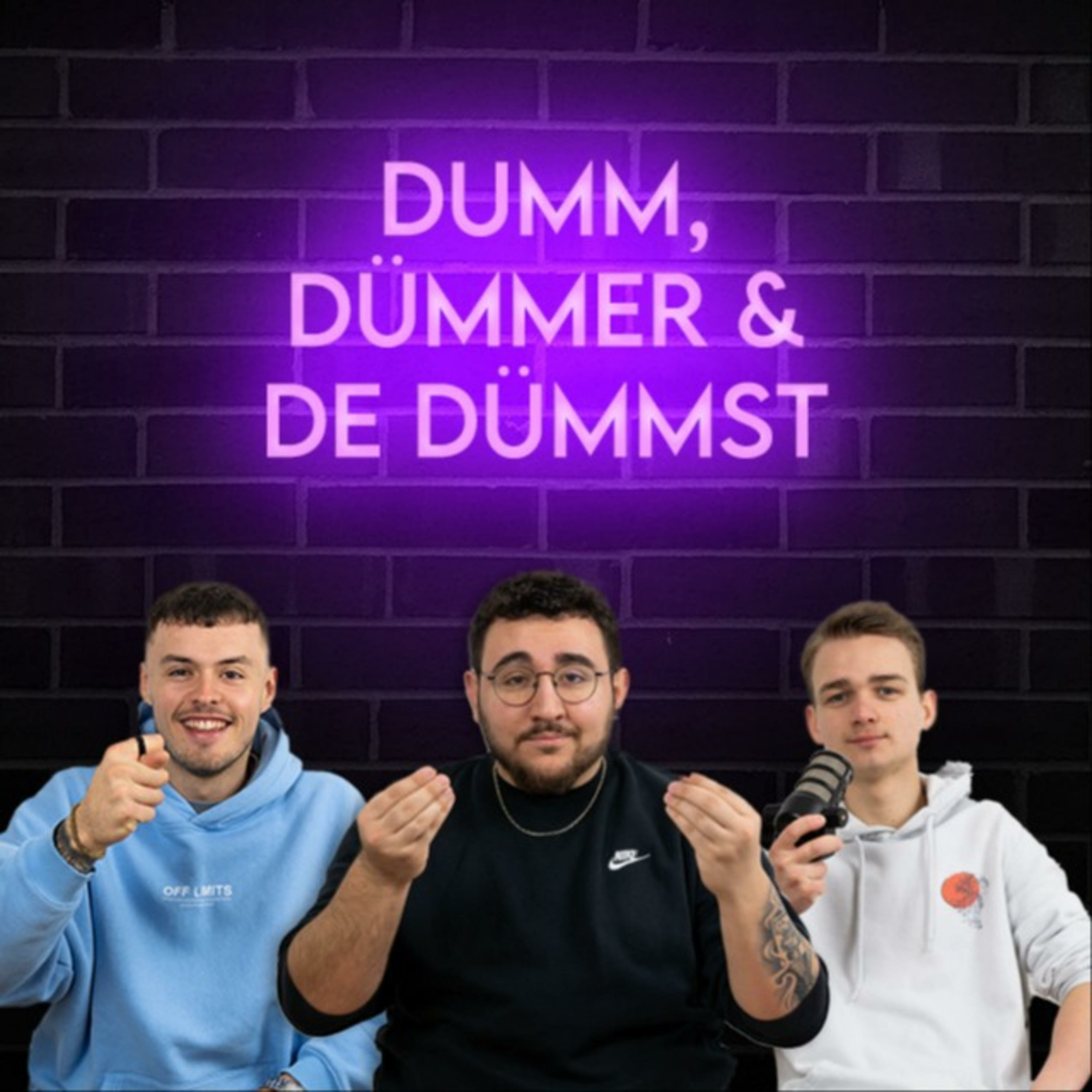 dumm dümmer & de dümmst