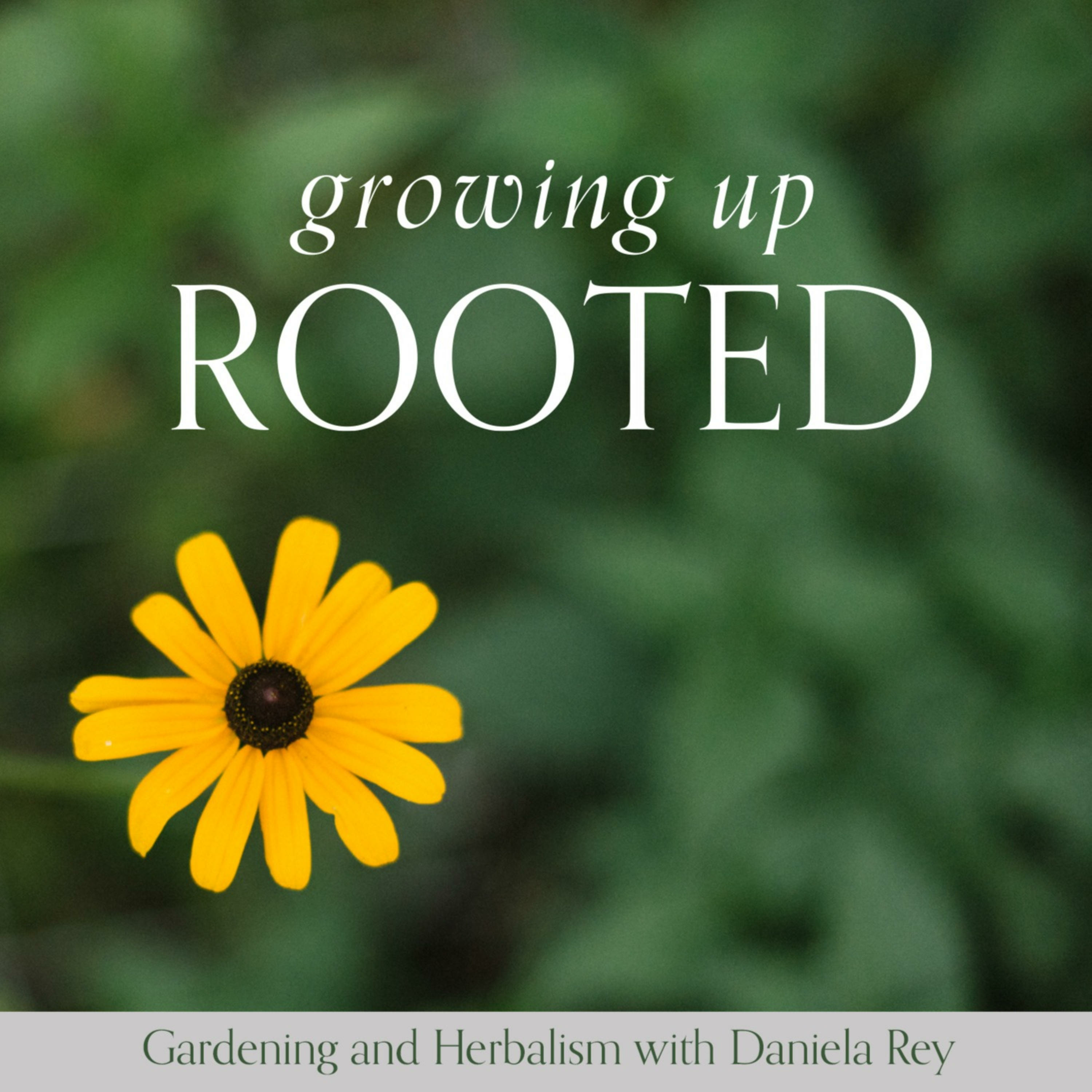 Growing Up Rooted podcast artwork