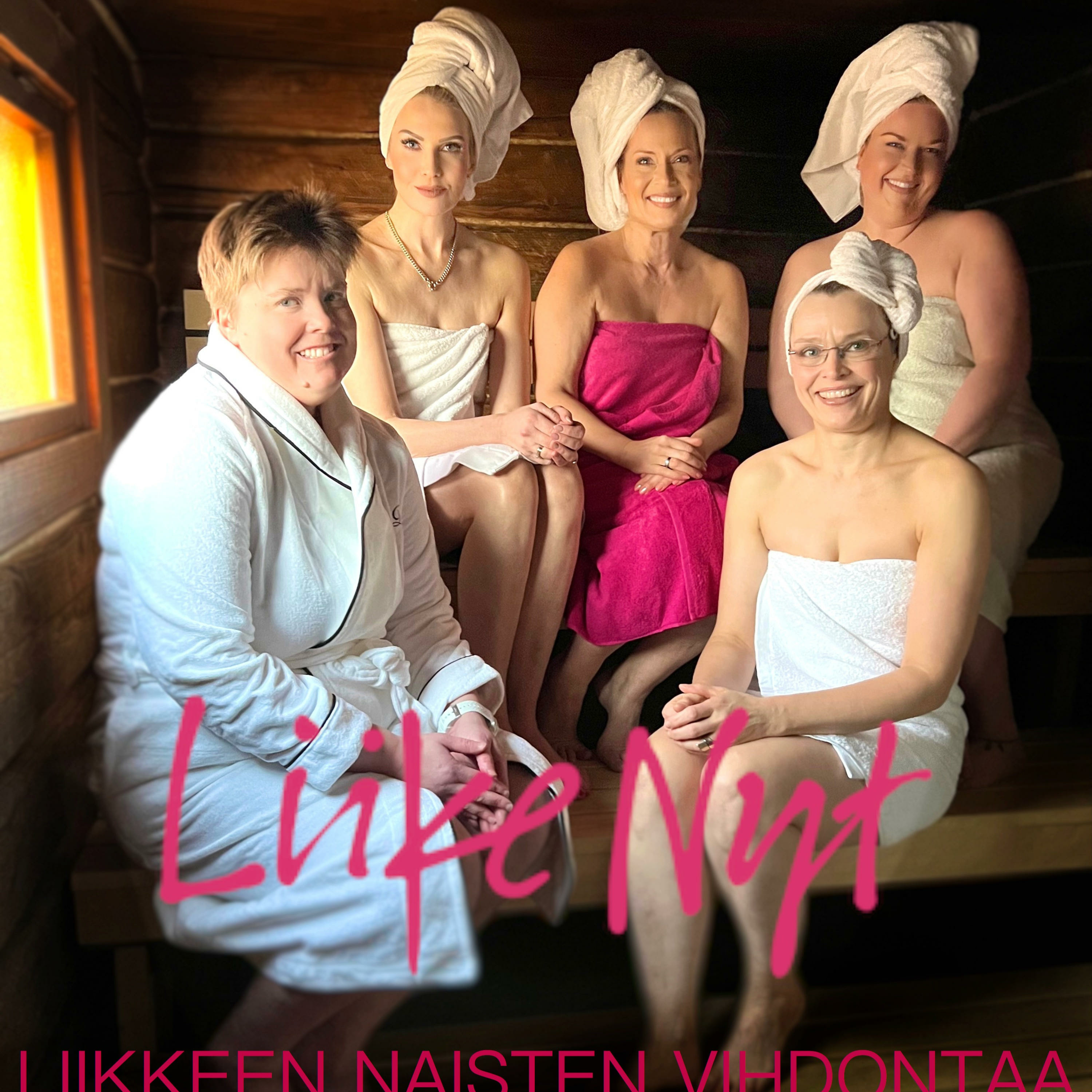 Liikkeen Naisten vihdontaa cover art