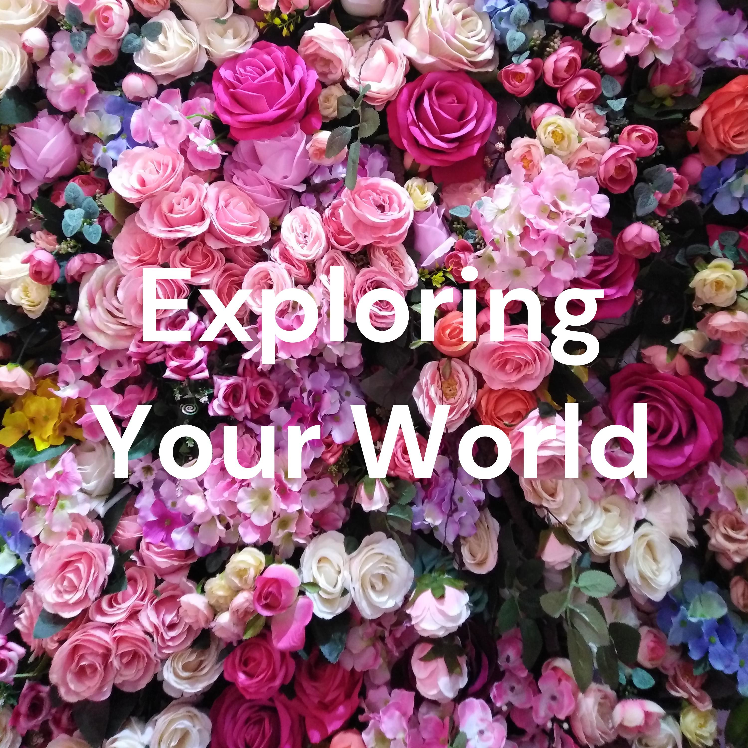 Exploring Your World