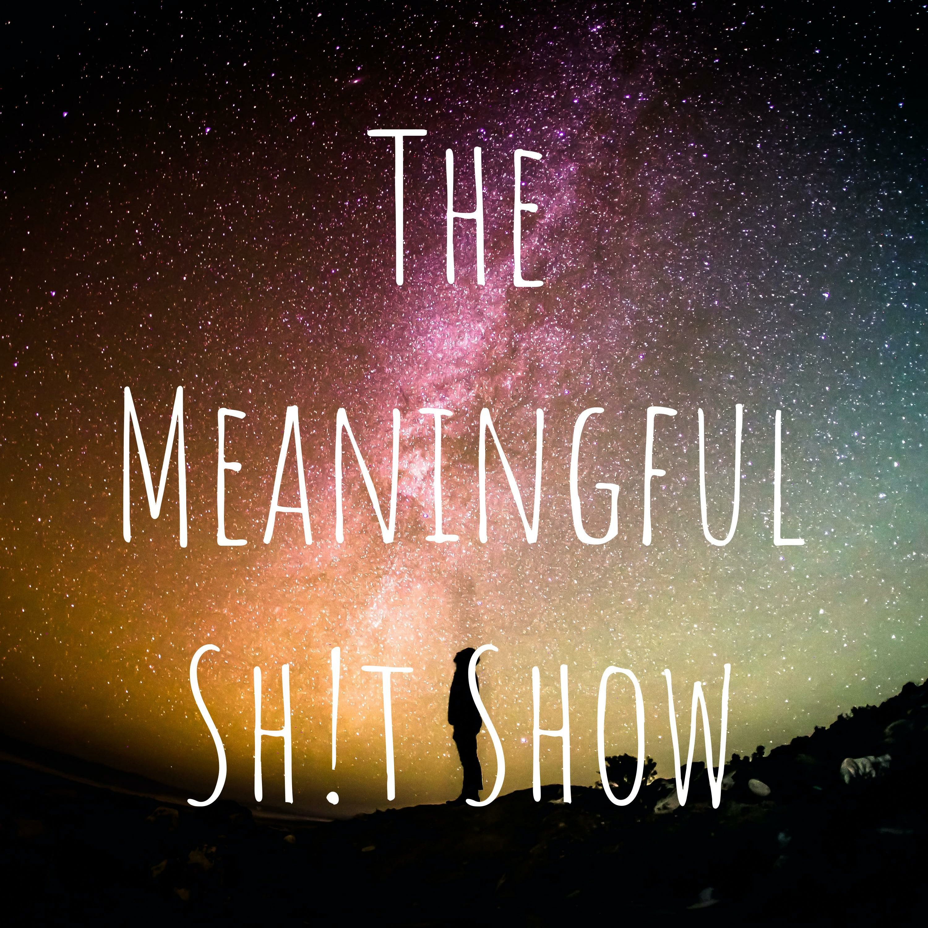 The Meaningful Shit Show