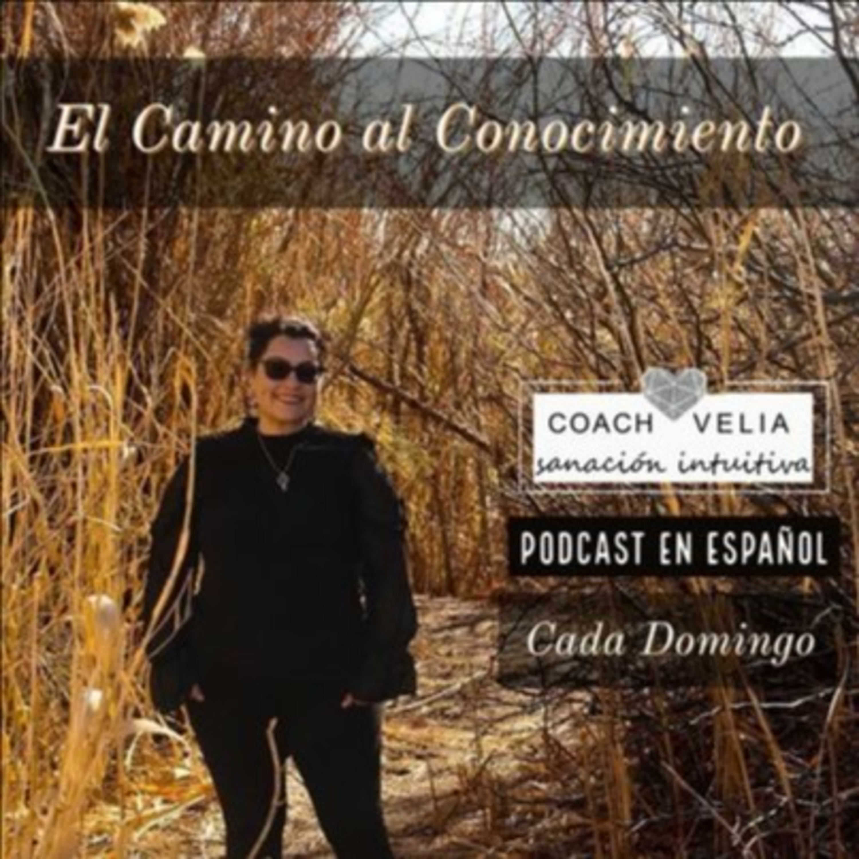 El Camino Al Conocimiento