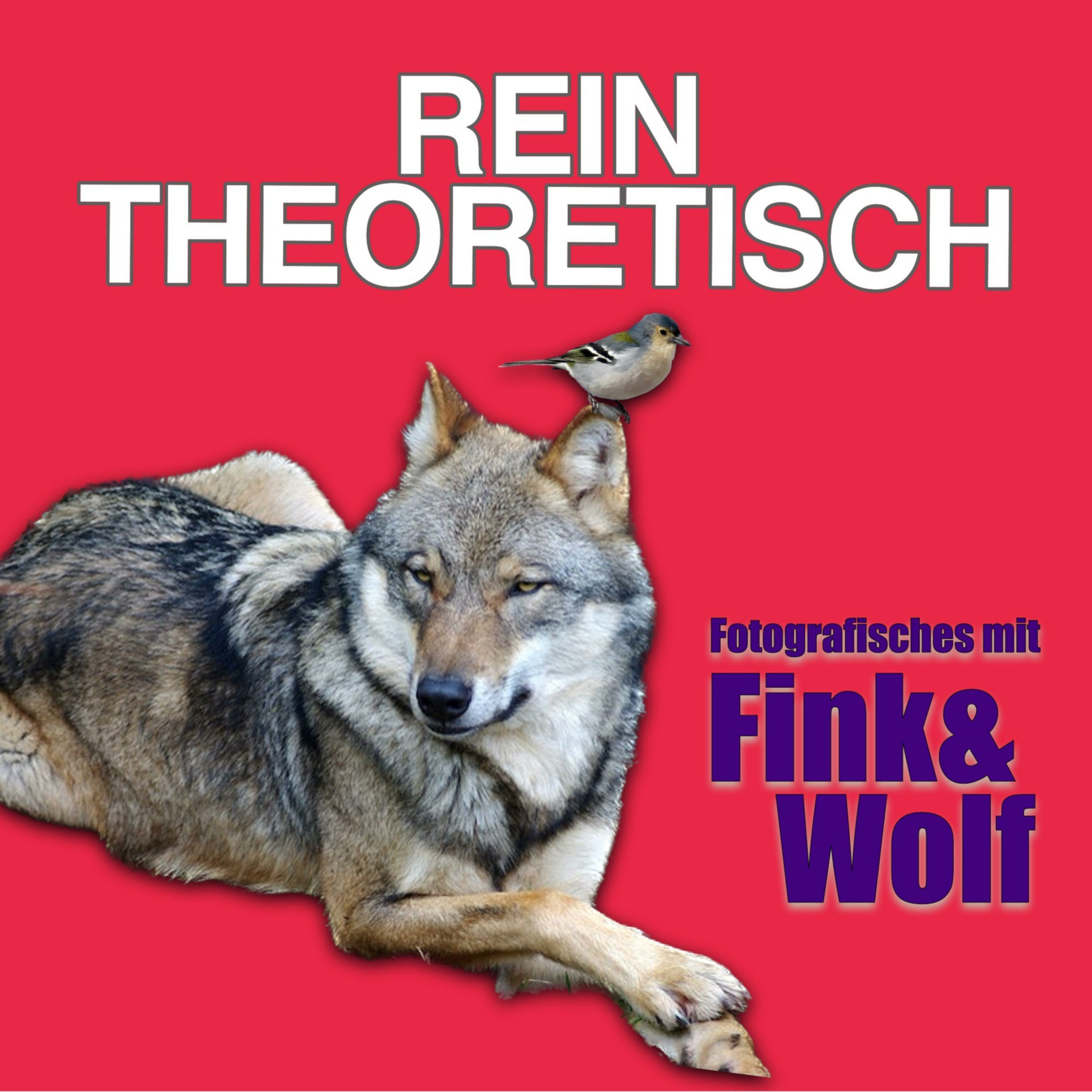 rein theoretisch - Fotografisches mit Fink&Wolf