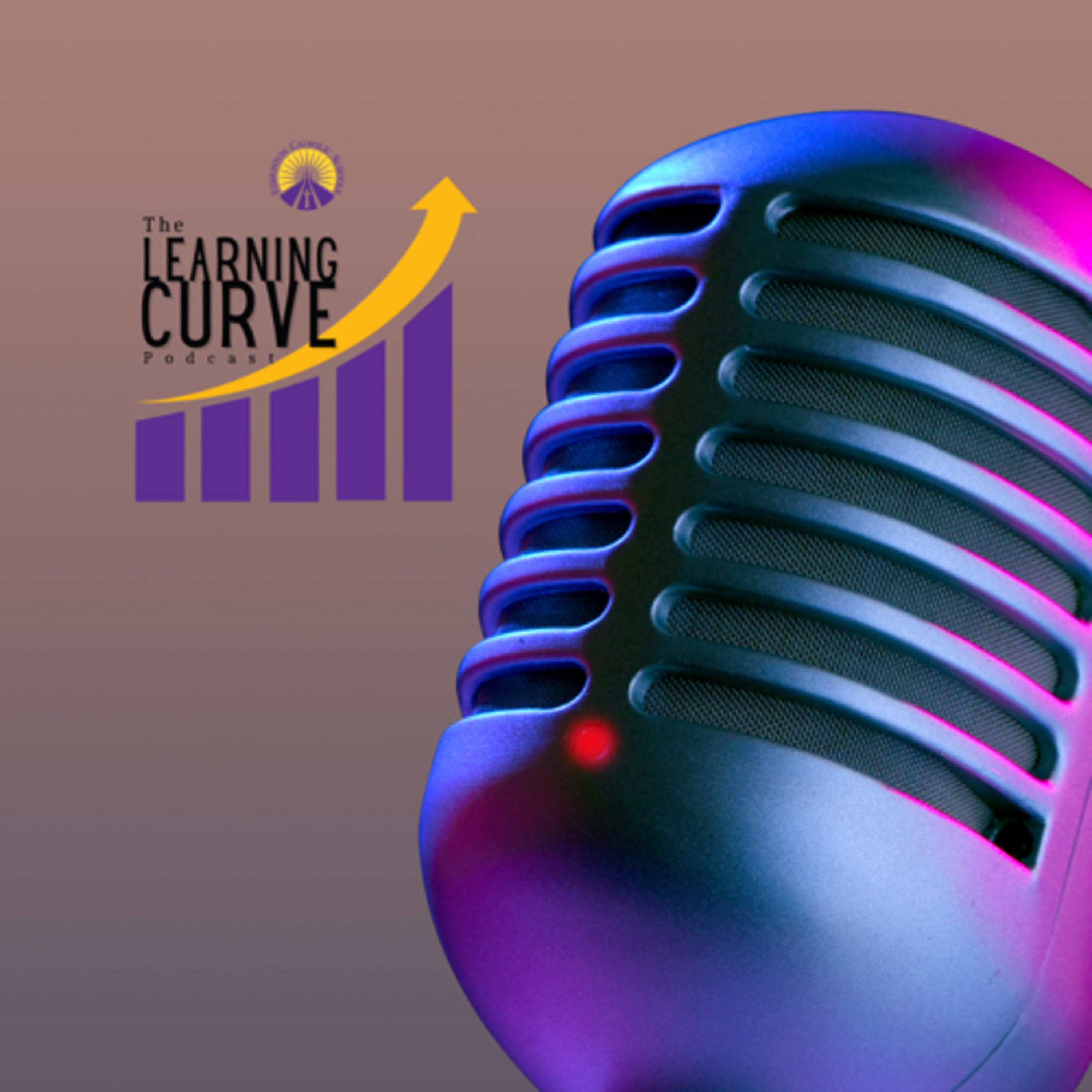 The Learning Curve ECSD