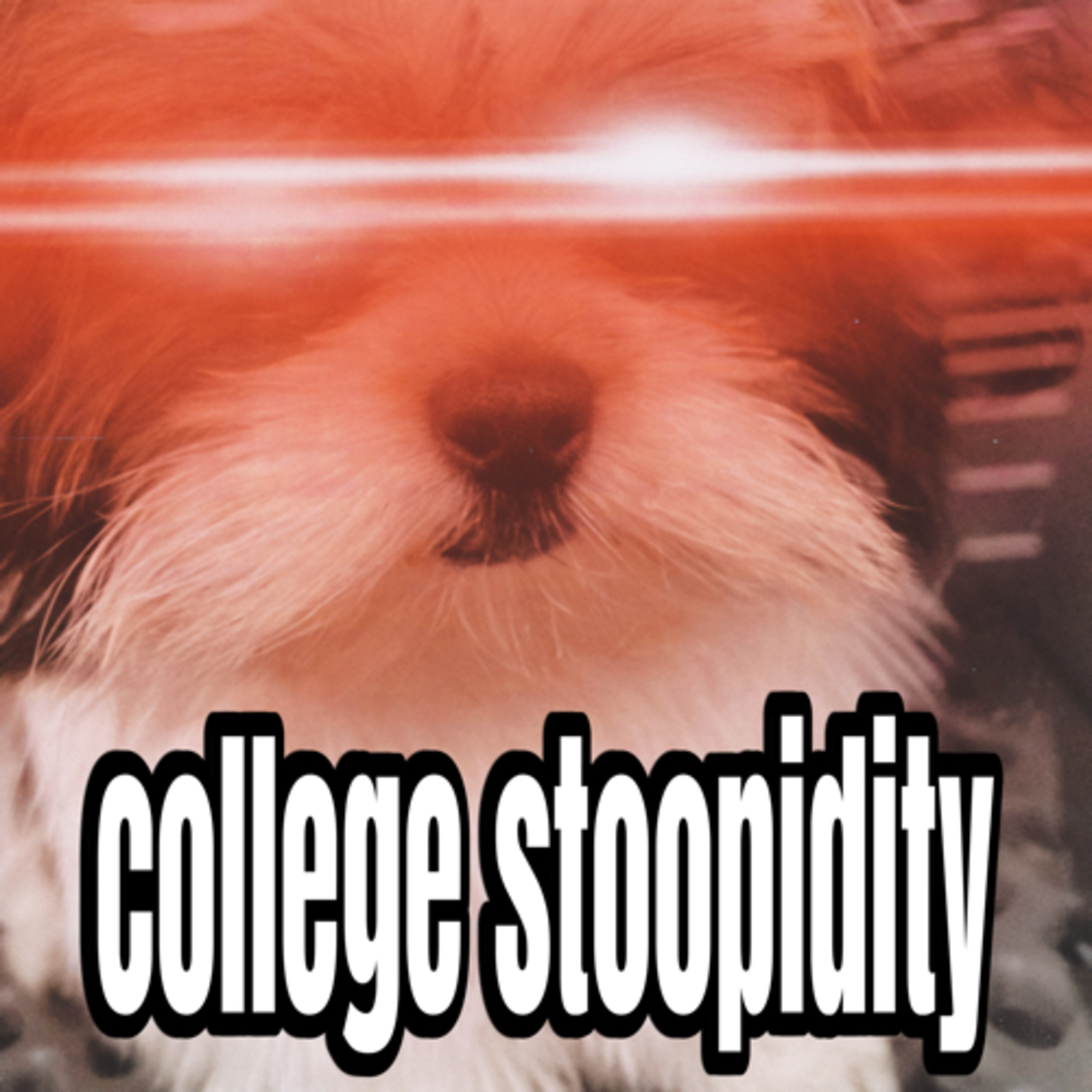 College Stoopidity with Sappy and Lilly