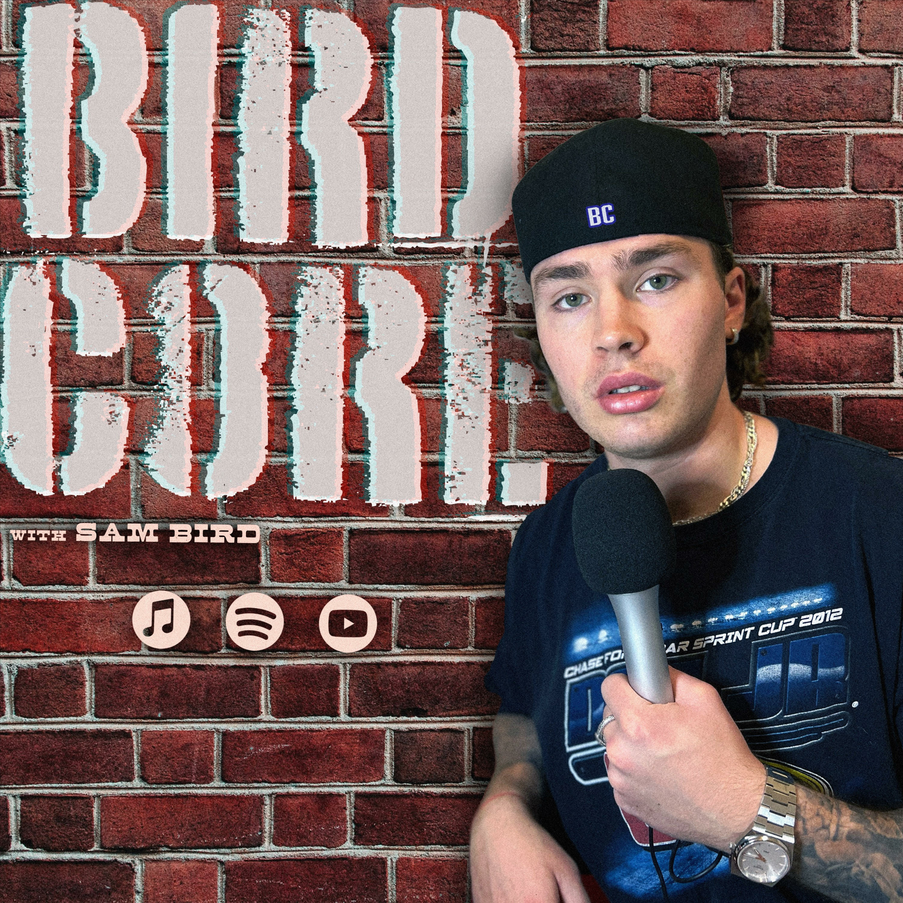 Birdcore podcast artwork