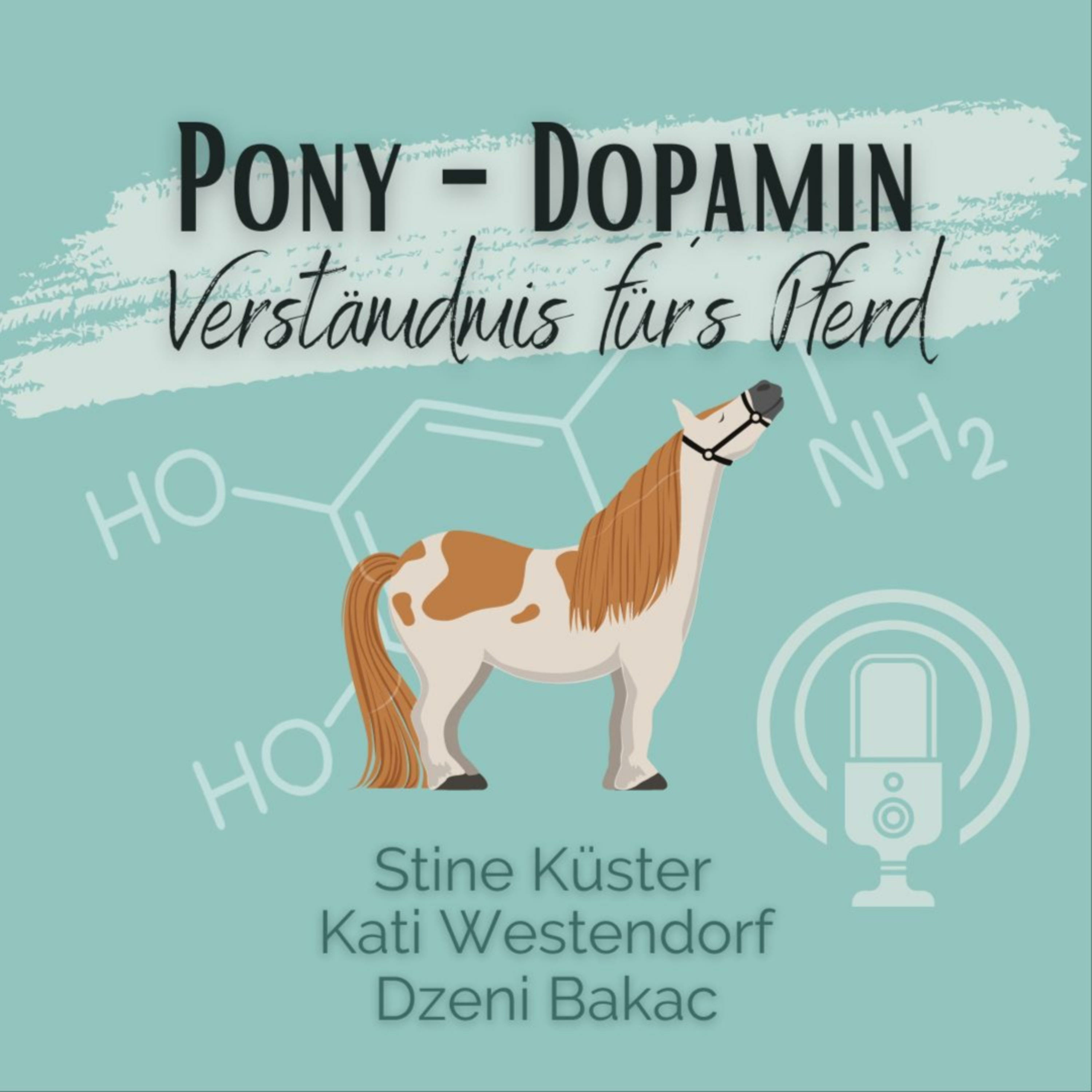 Pony-Dopamin