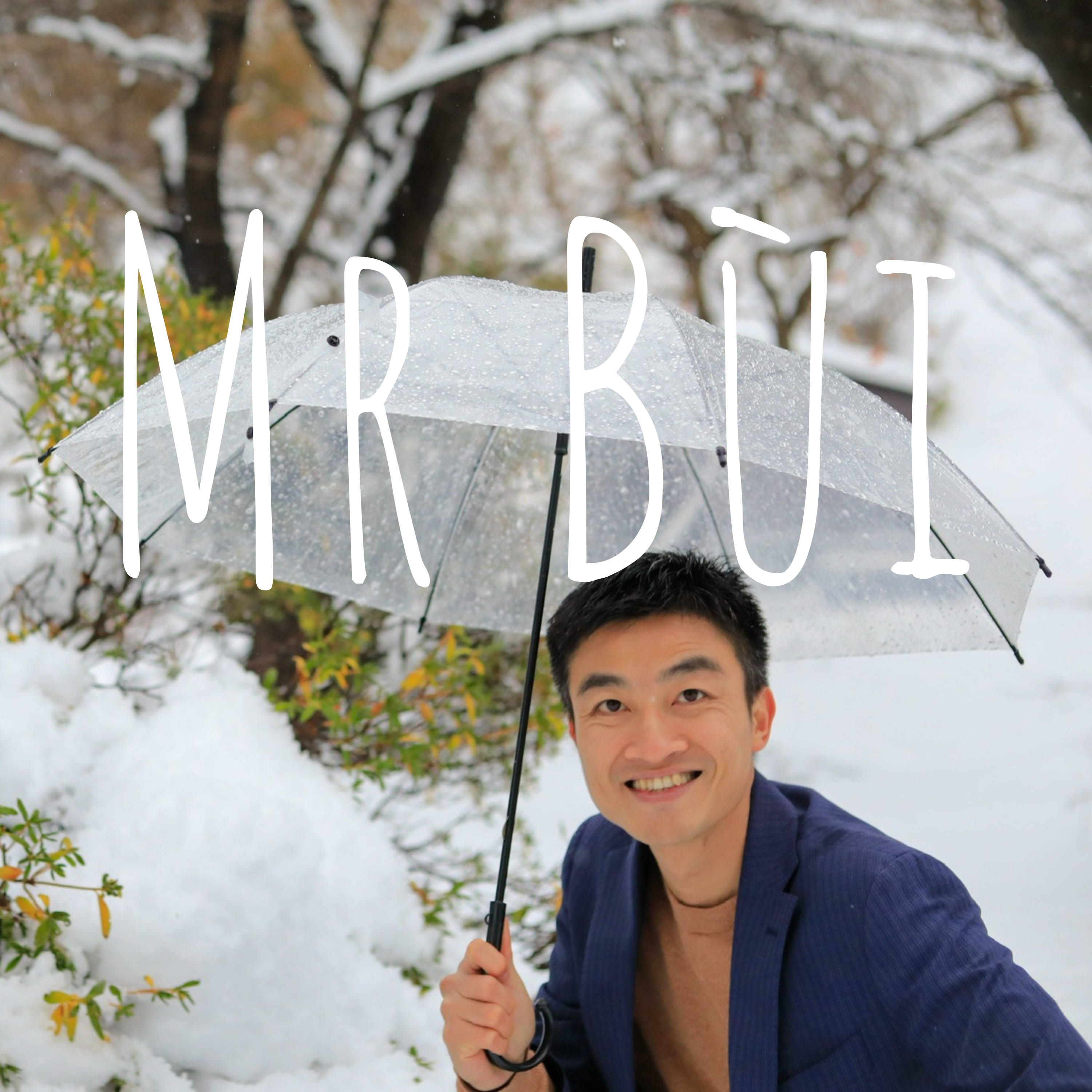 Mr Bùi podcast artwork
