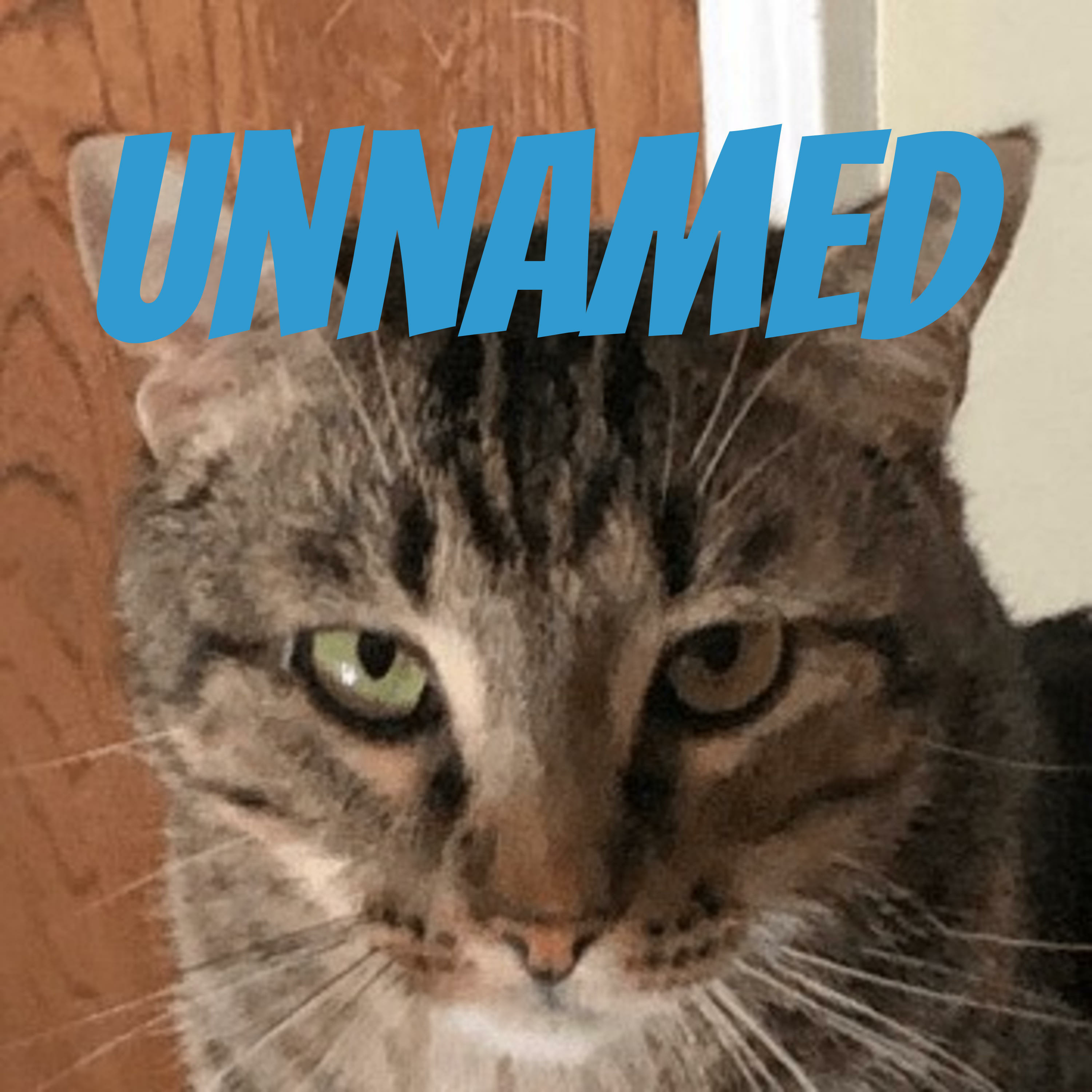 unnamed