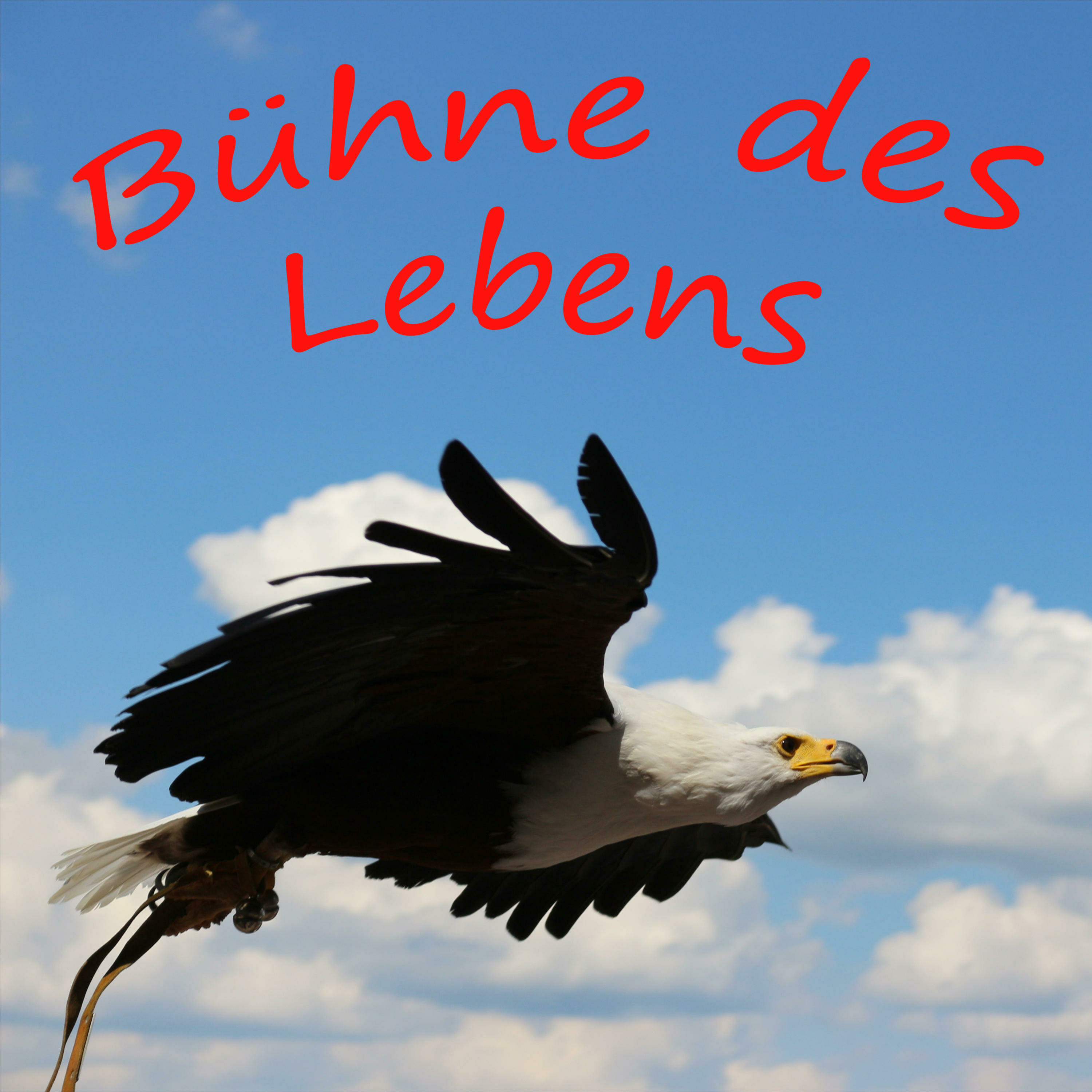 Bühne des Lebens