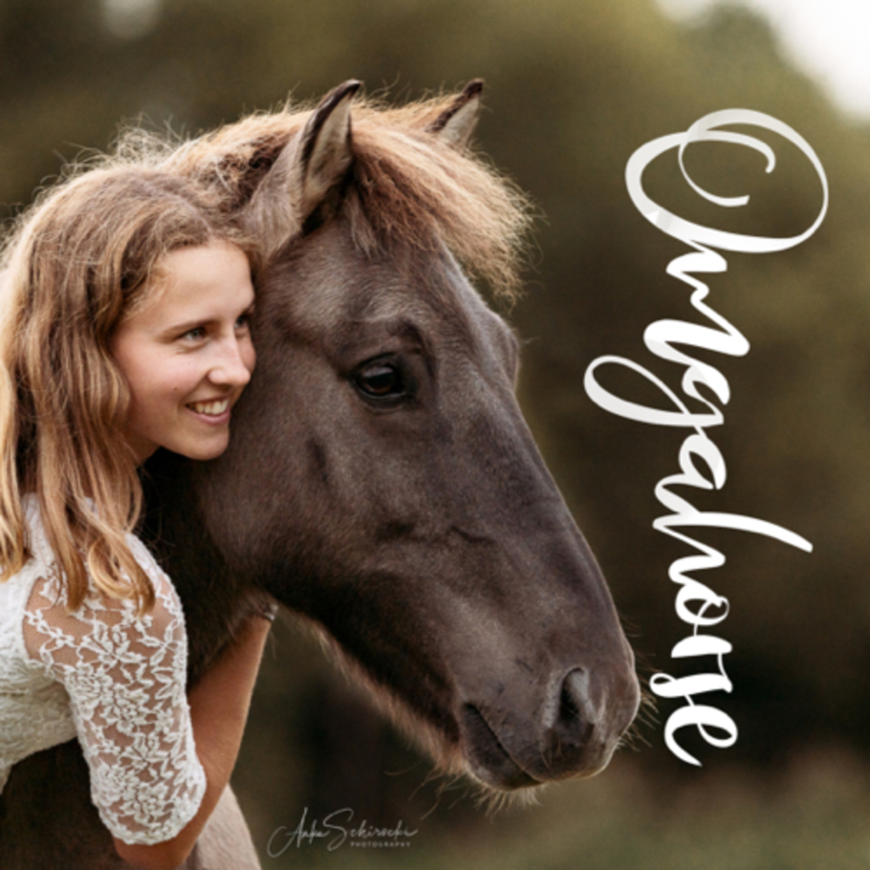 Omg a Horse podcast artwork