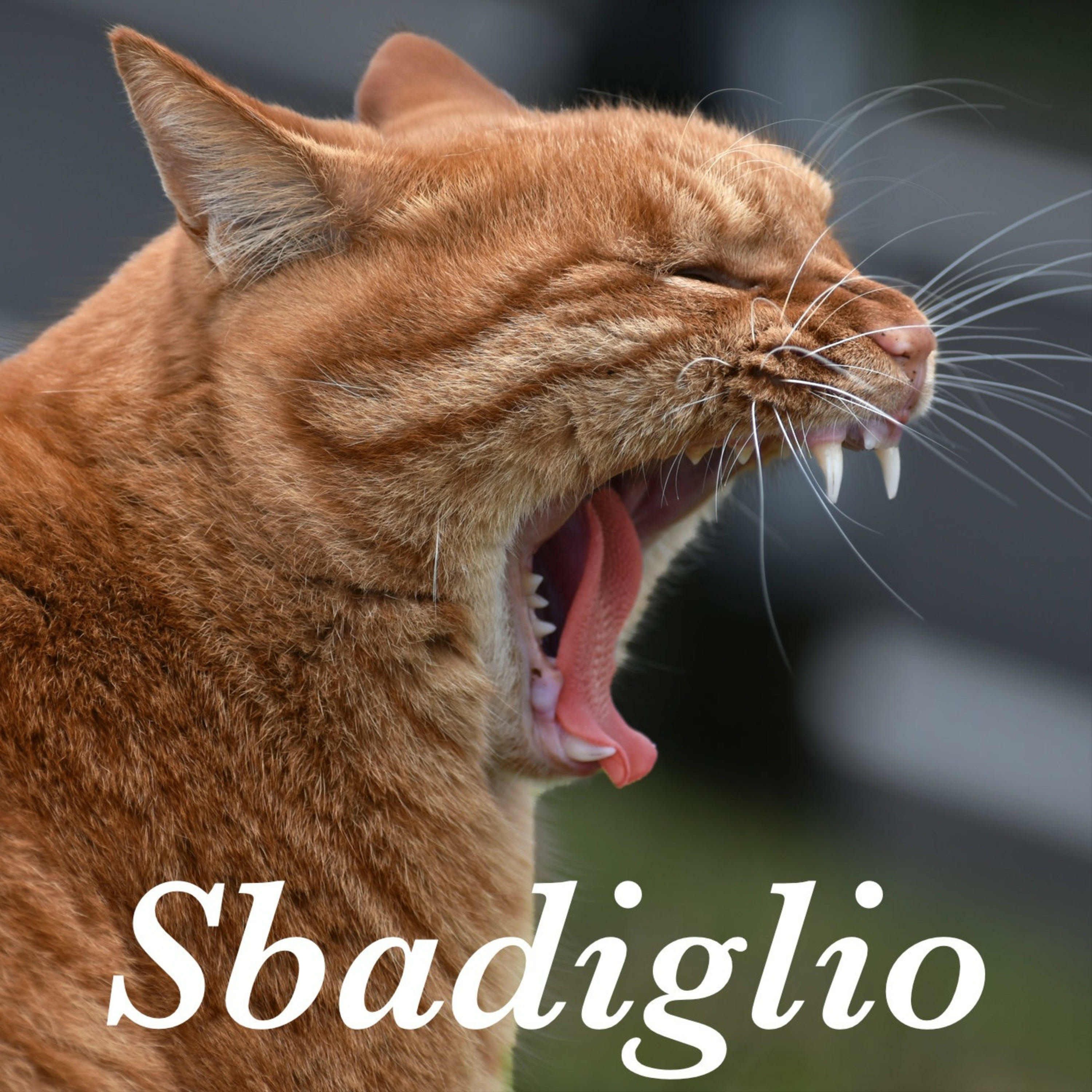 Sbadiglio - tecnologia e società