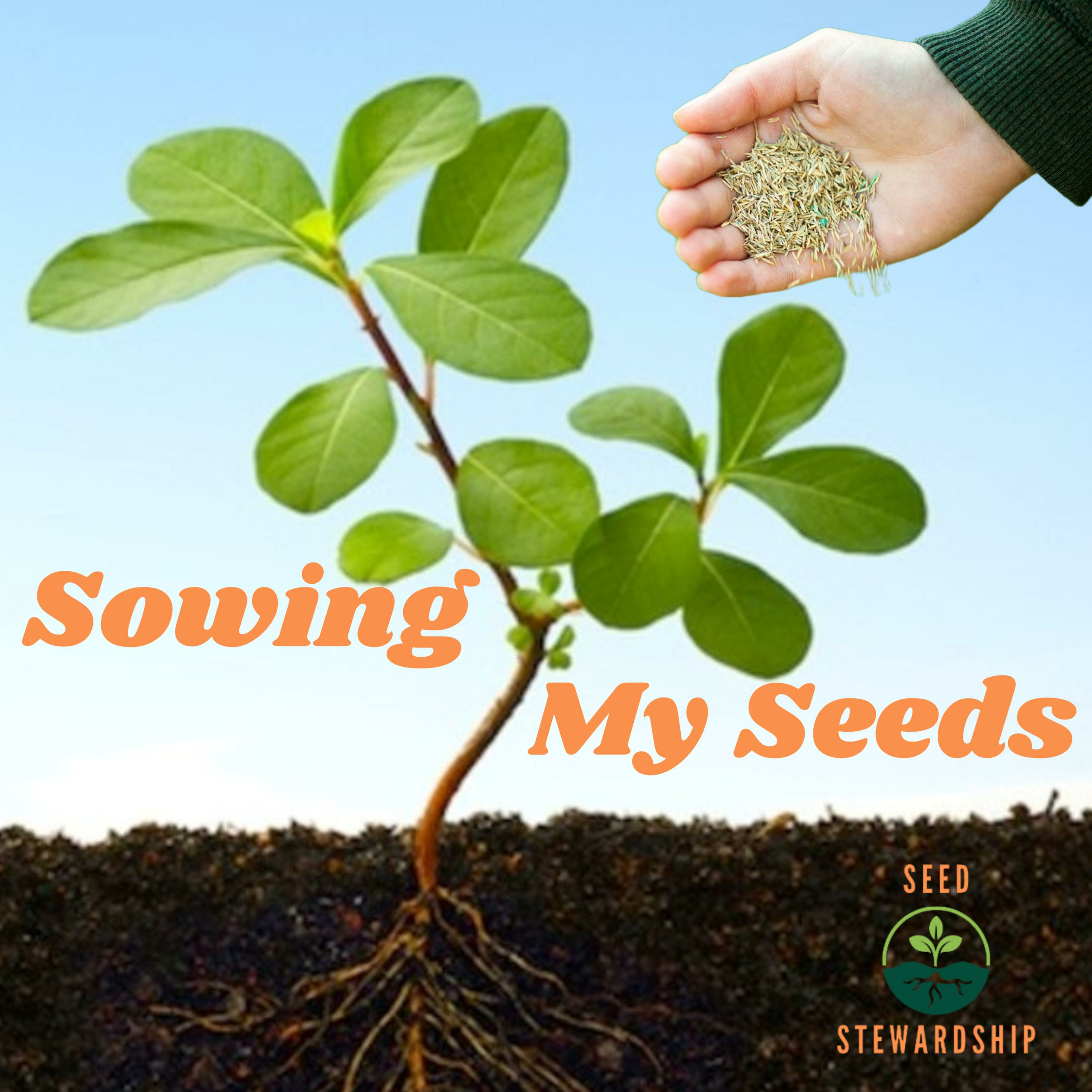 Sowing My Seeds