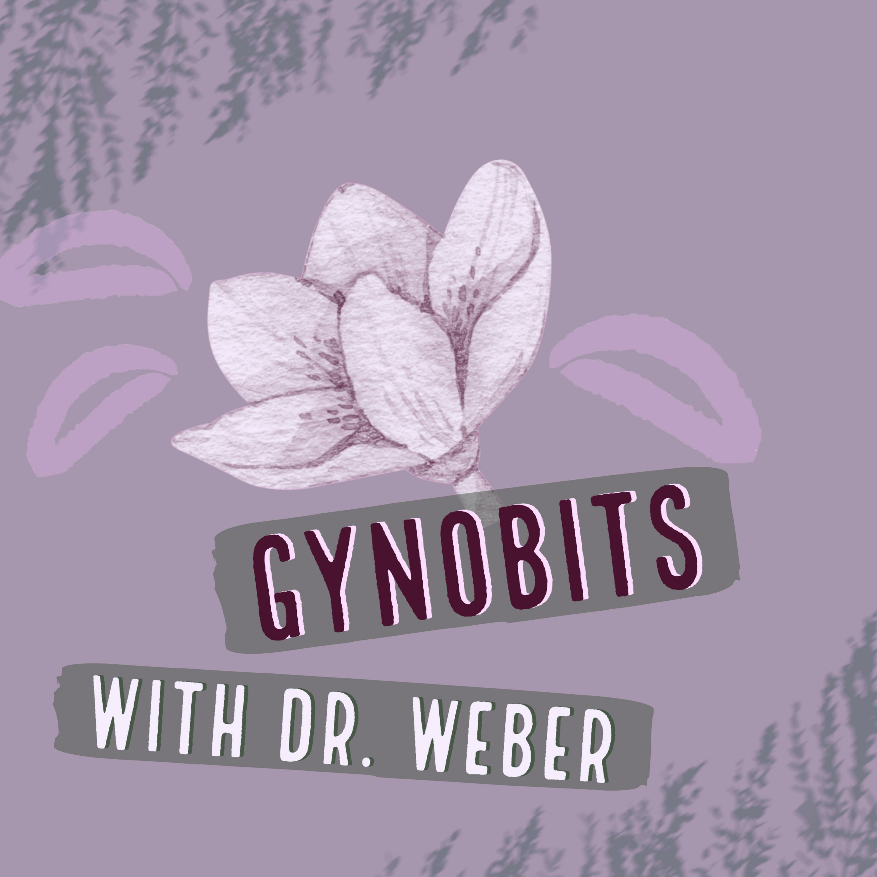 GynoBits with Dr. Weber