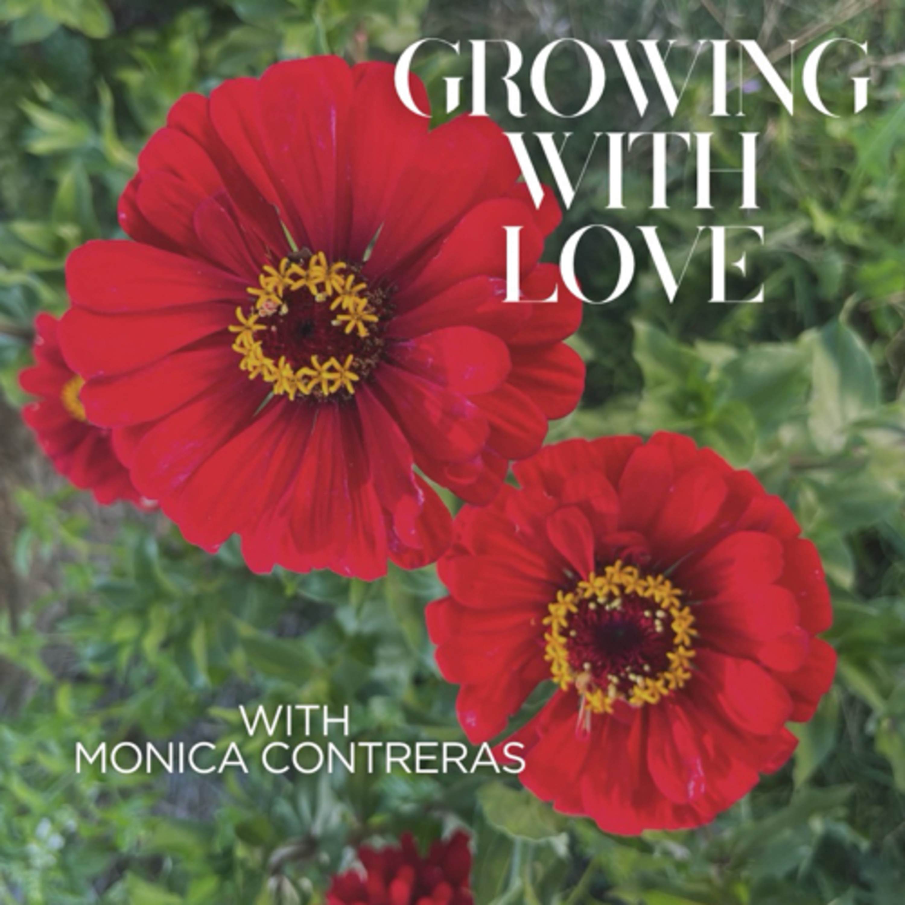 Growing With Love cover art