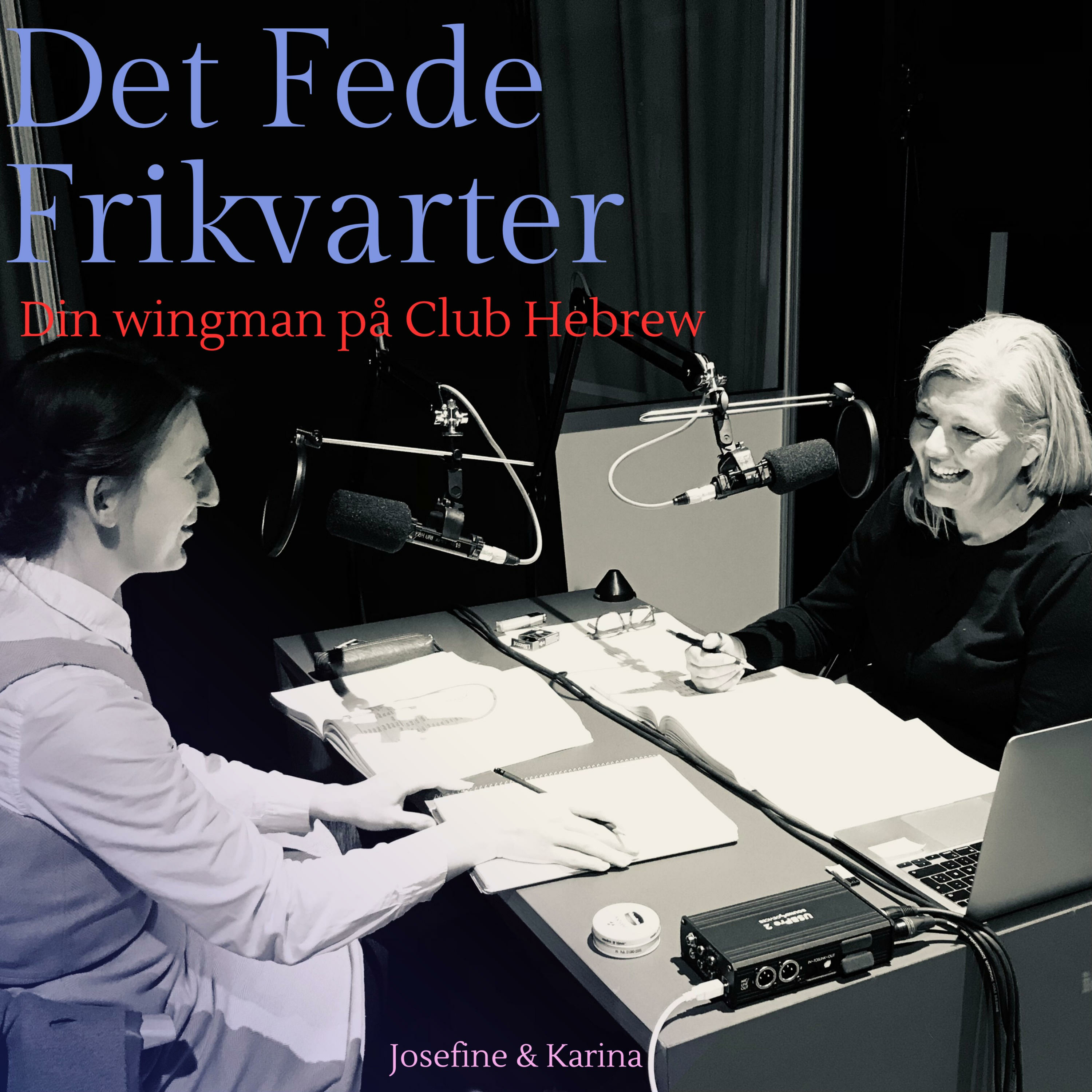 Det Fede Frikvarter af Karina Skov Iversen