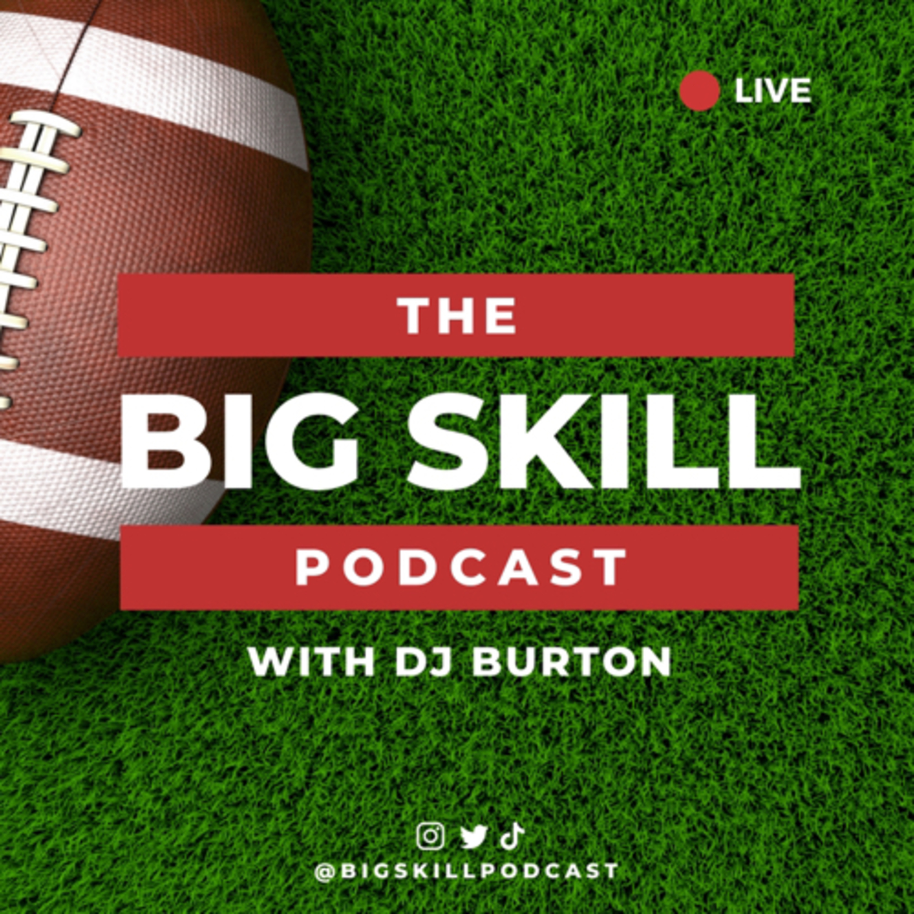 The Big Skill Podcast podcast artwork