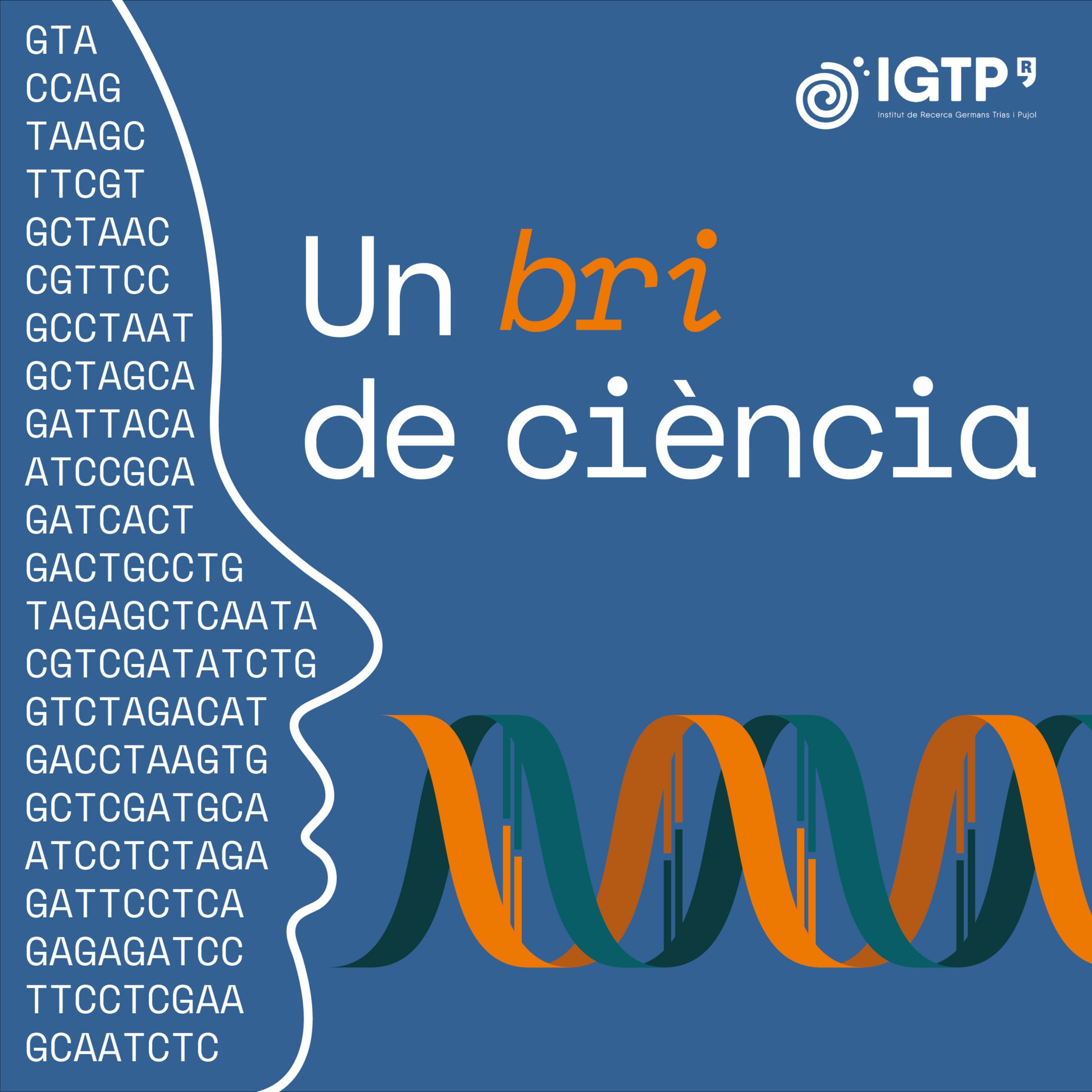 Un bri de ciència
