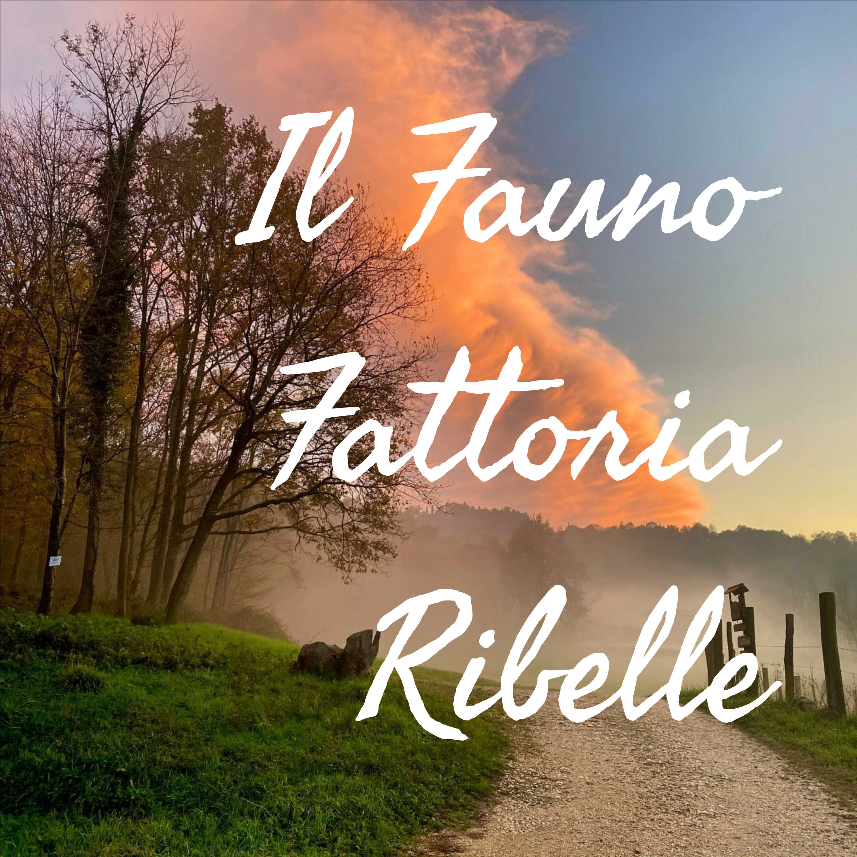 Noi come Loro
