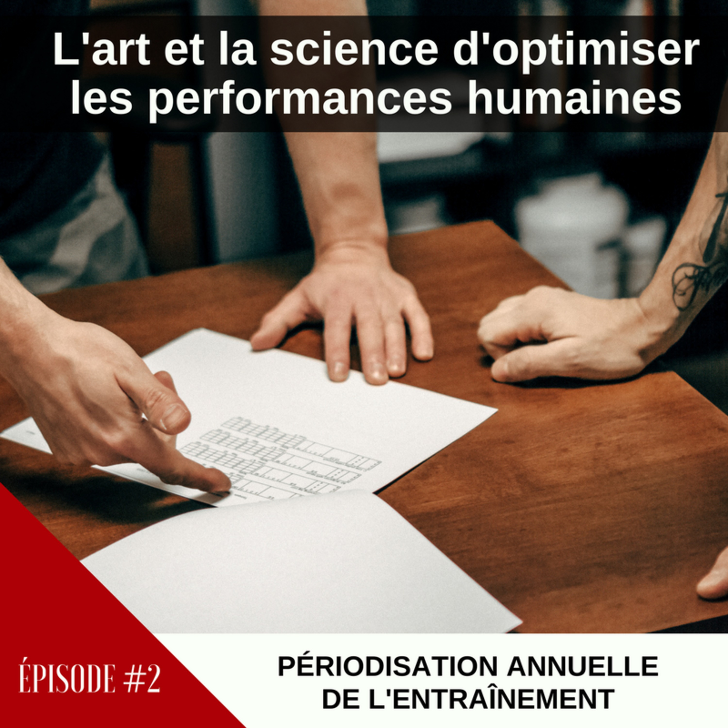 #2 - Périodisation Annuelle de l'Entraînement