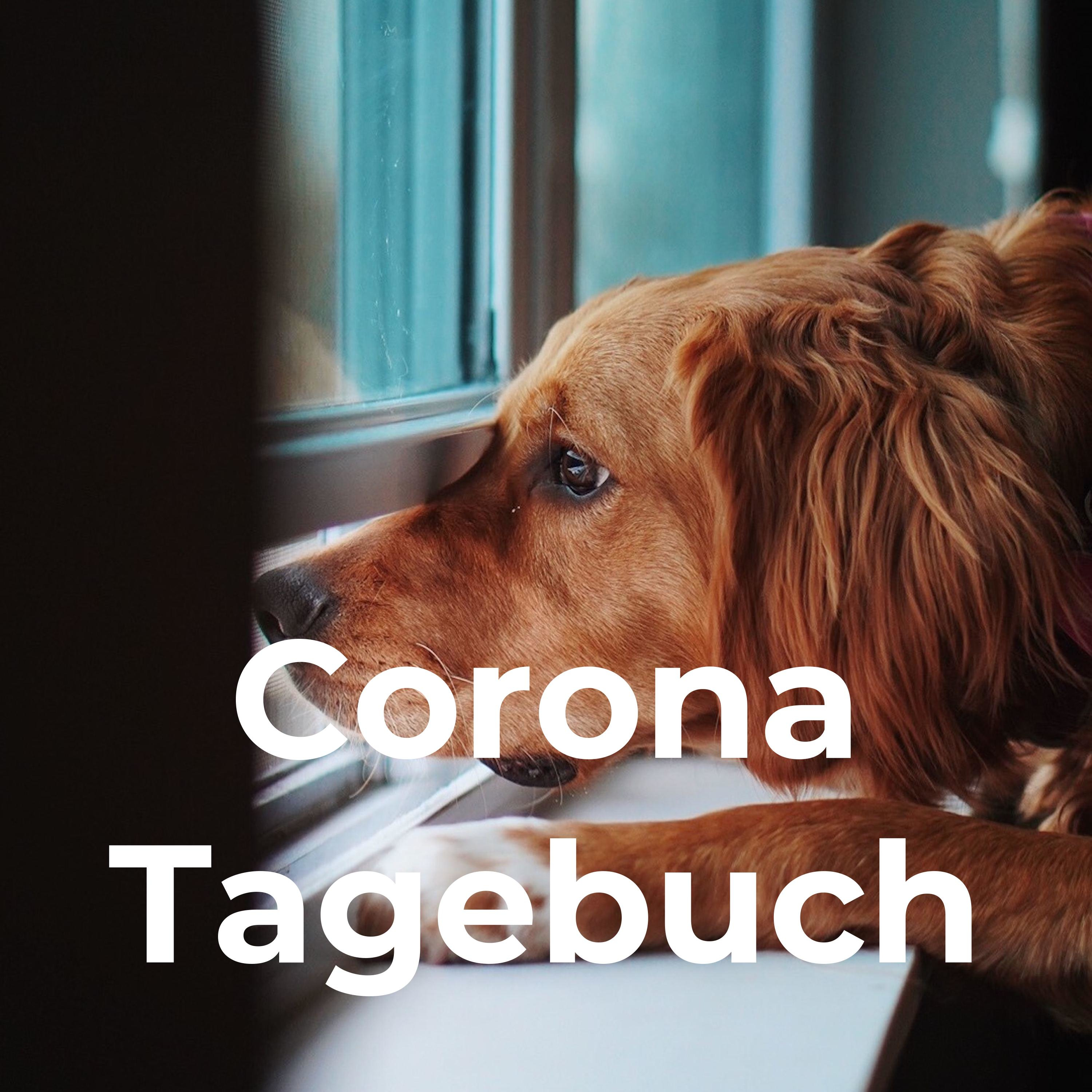 Corona Tagebuch