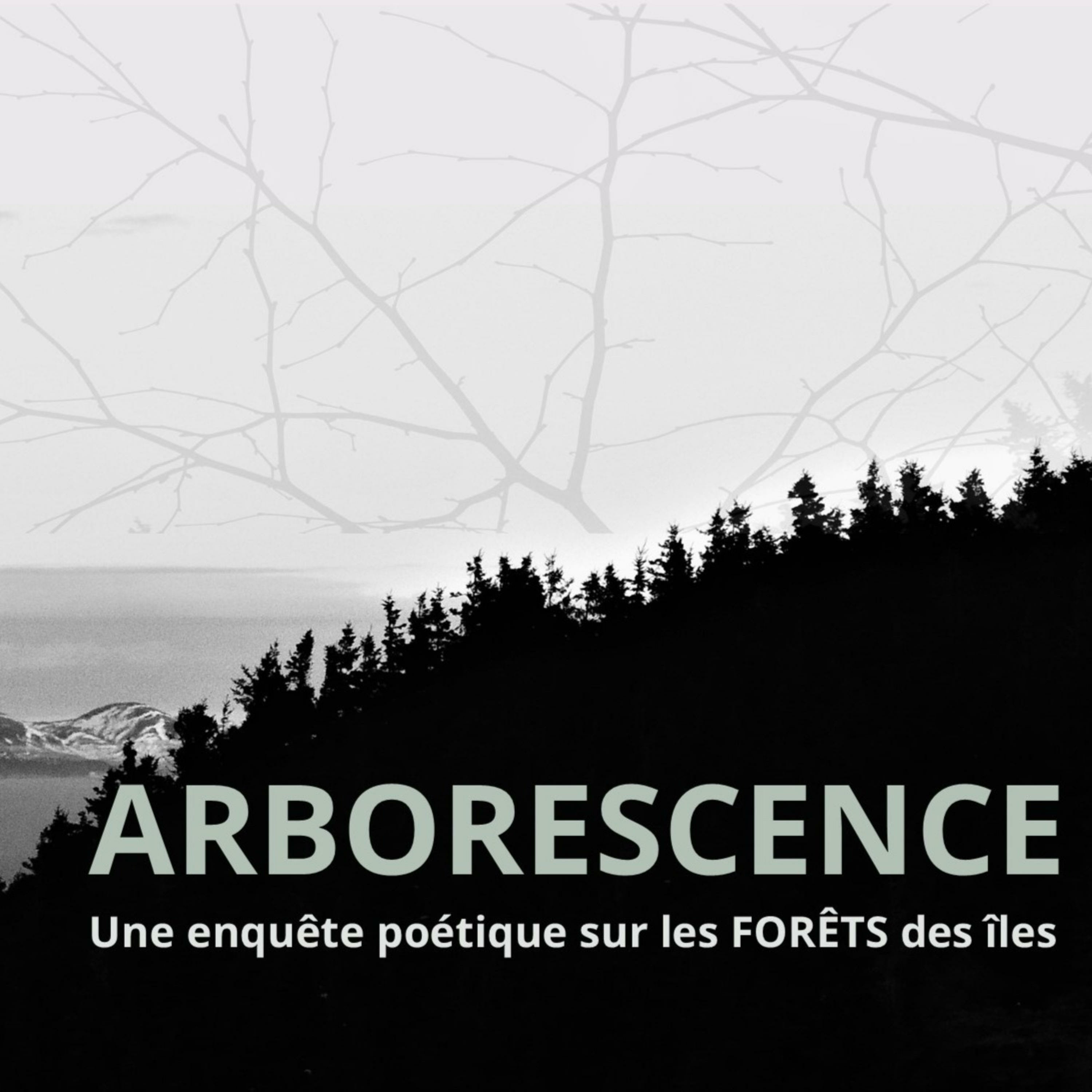 Arborescence: une enquête poétique sur les forêts des Îles