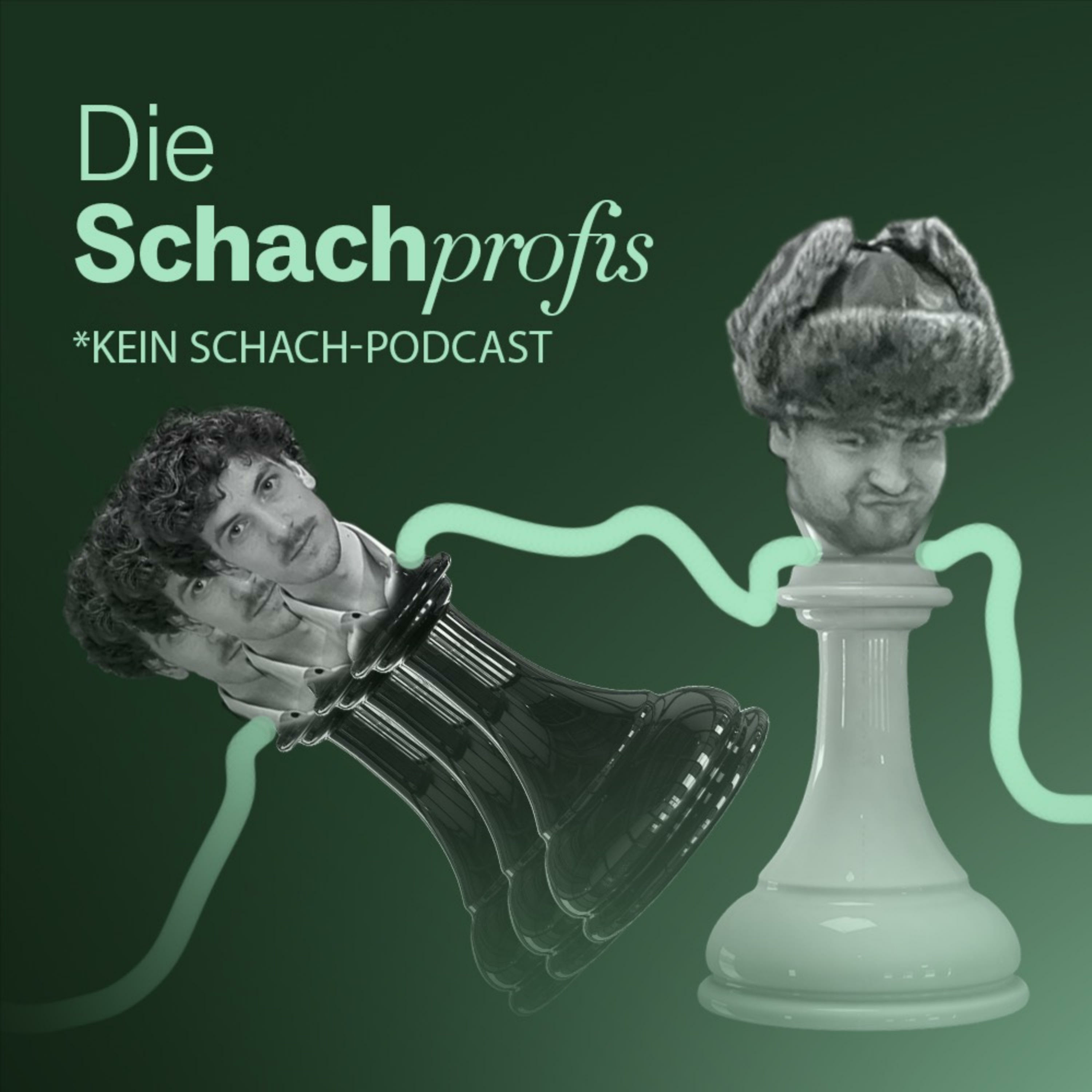 Die Schachprofis