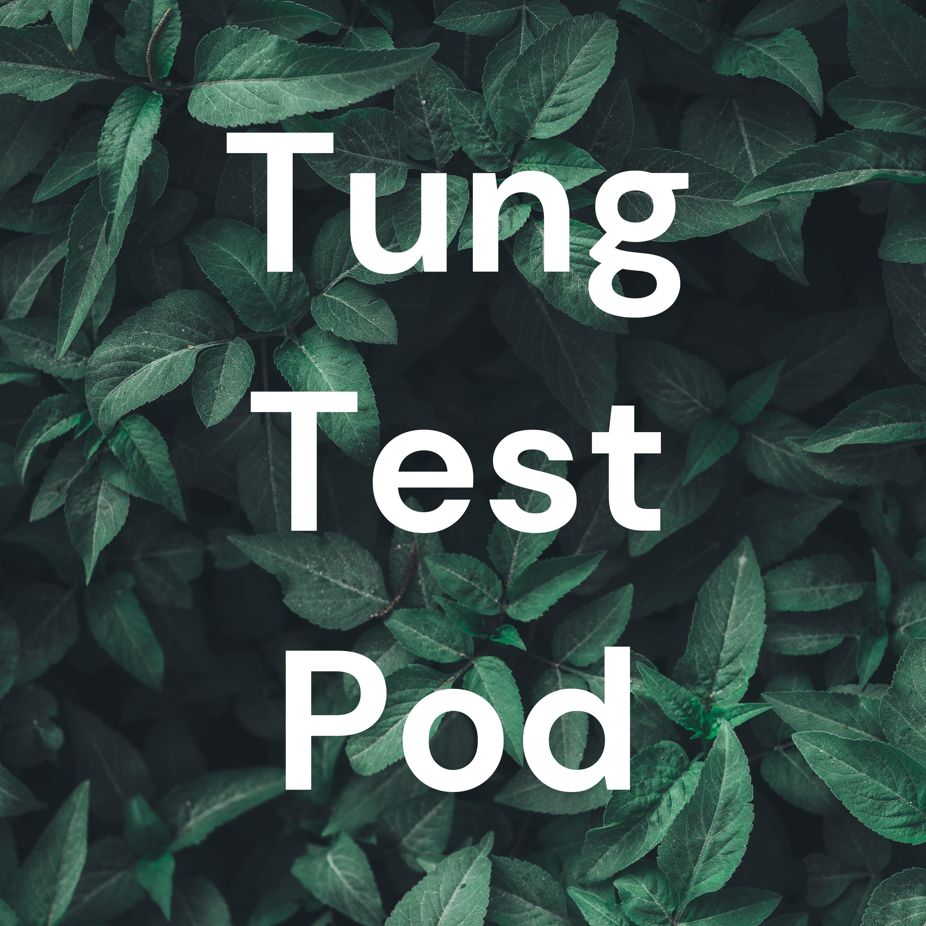 Tung Test Pod cover art