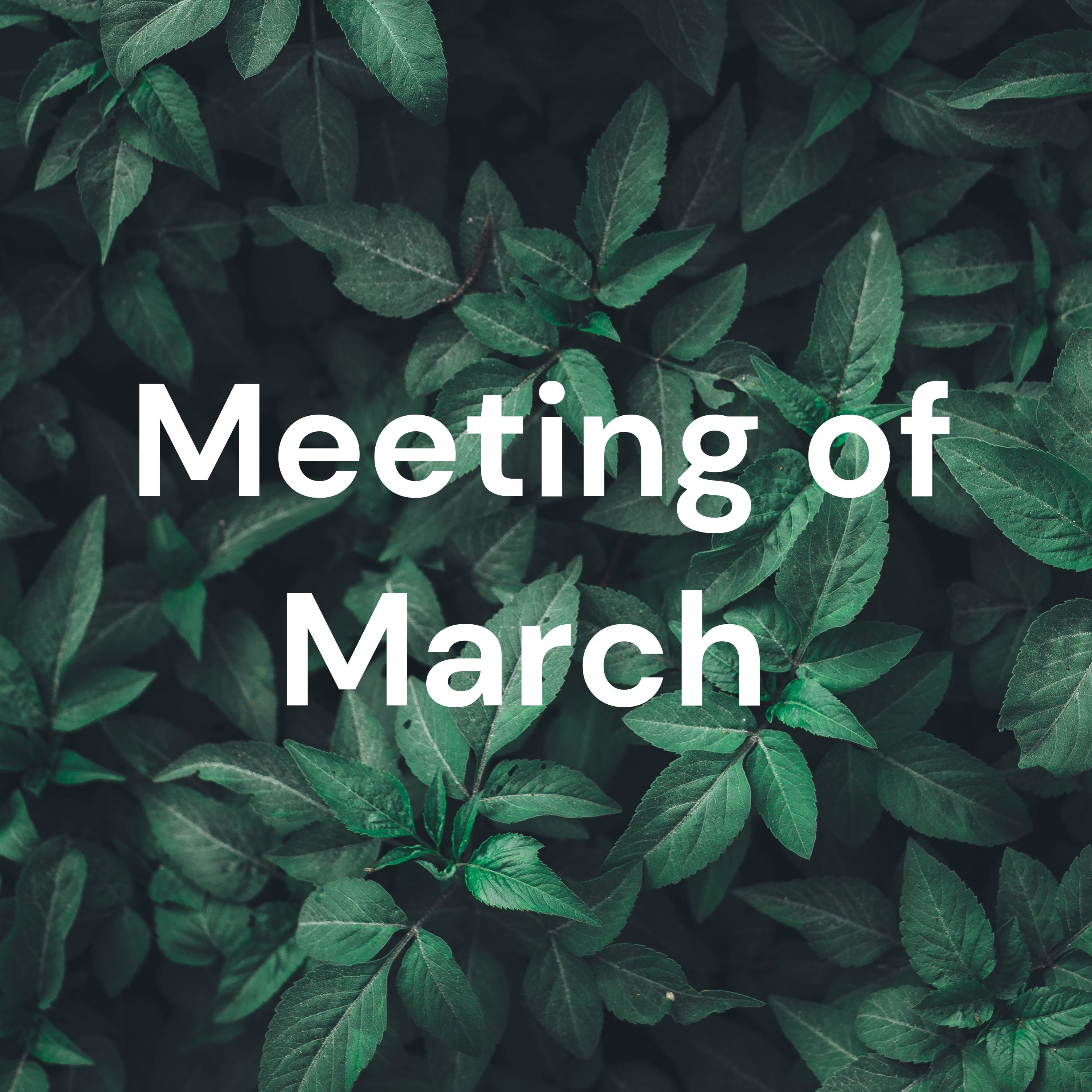 Meeting of March