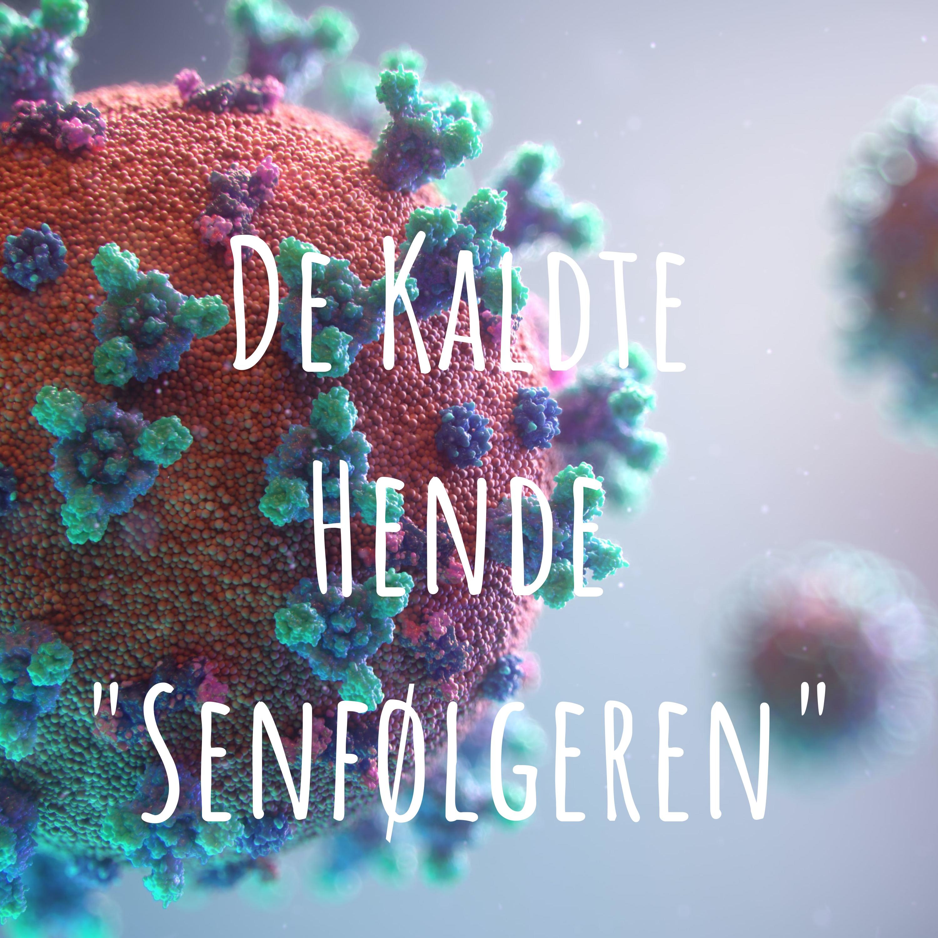 De Kaldte Hende "Senfølgeren" af De Kaldte Hende "Senfølgeren"