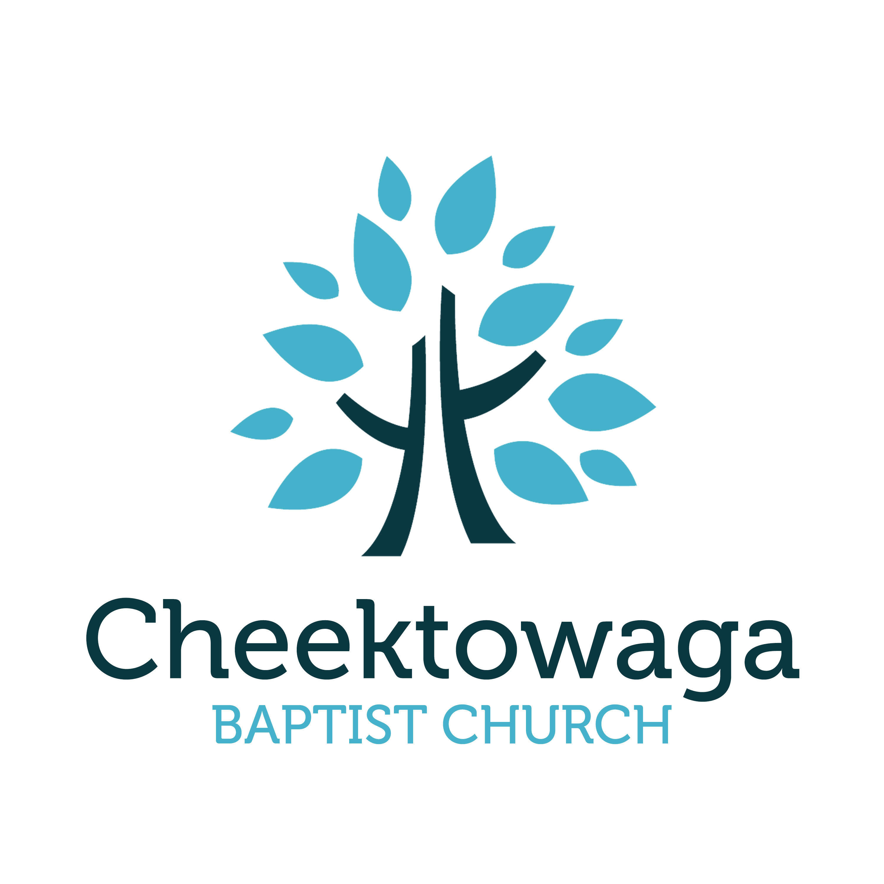 Cheektowaga Baptist